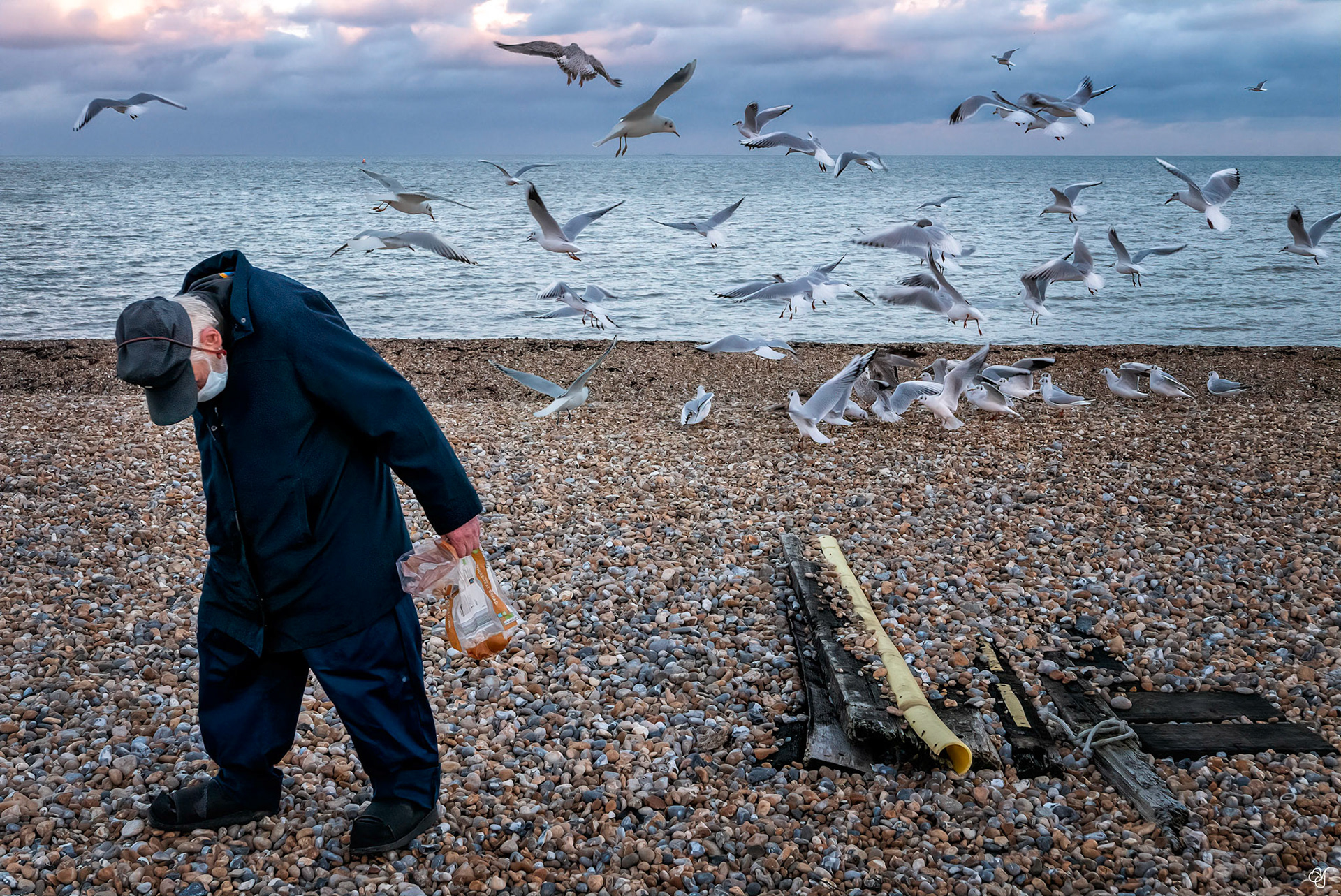 Fred Upton: the man who feeds the seagulls, 21st January. Fred was a local fisherman. He told me that 30 years ago there were 14 boats fishing off the shores of Deal. When they brought home their catch they would gut the fish and feed the scraps to the seagulls. These days fish stocks are lower, there are hardly any boats out and the seagulls go hungry. Every afternoon Fred feeds them.