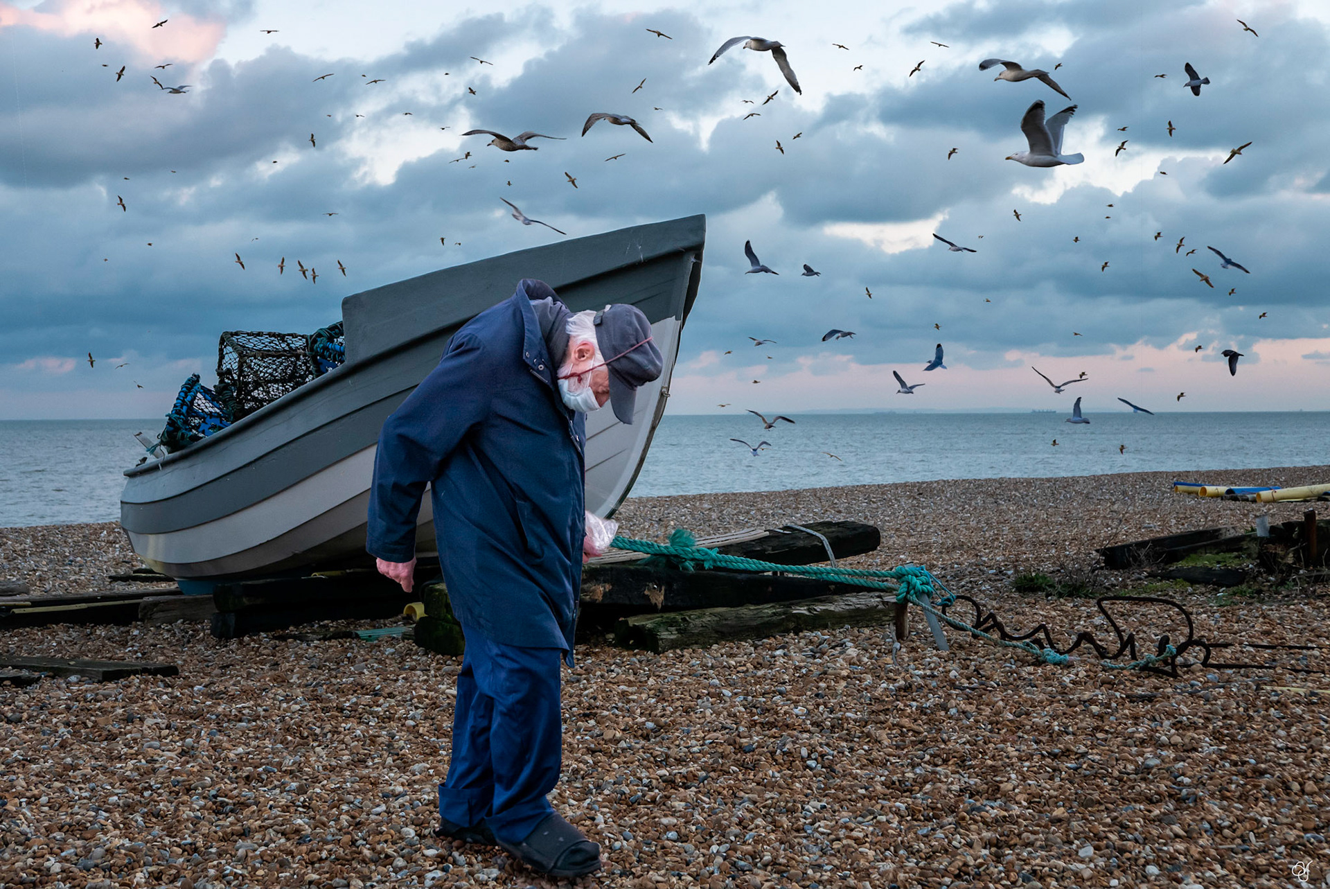 Fred Upton: the man who feeds the seagulls, 21st January.