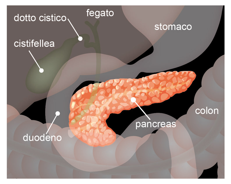 ALA San Raffaele