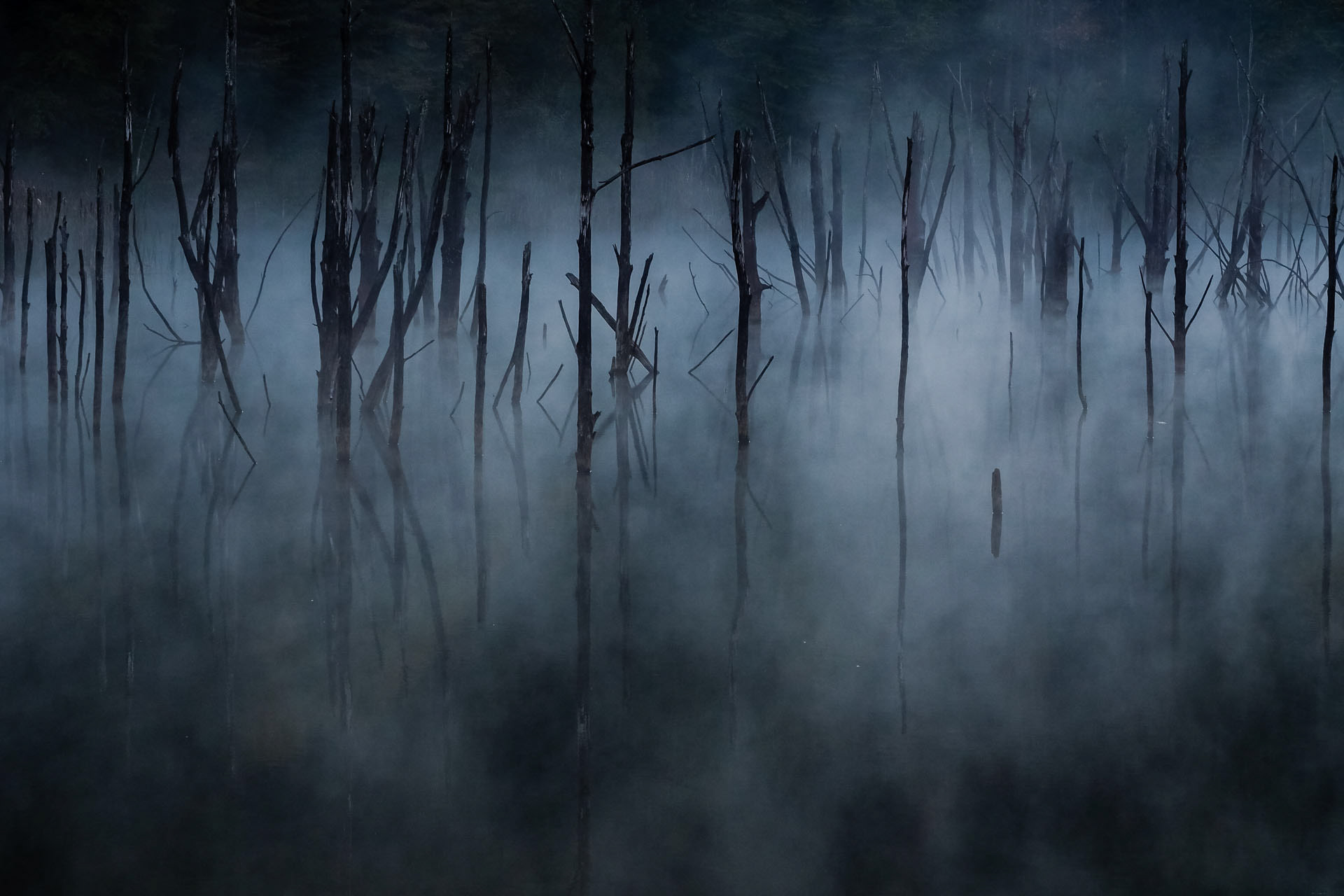 Lacul Cuejdel © Claudiu Bîrliba
