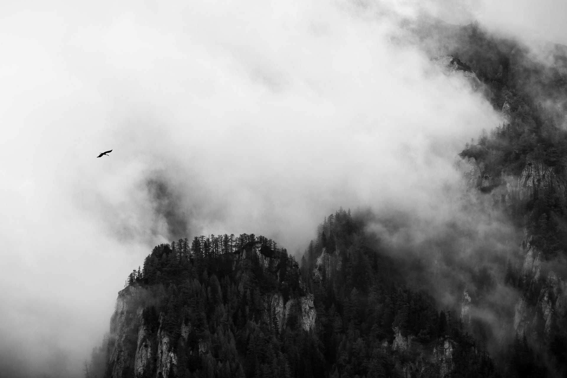 Munții Bucegi © Theodor Dinulescu