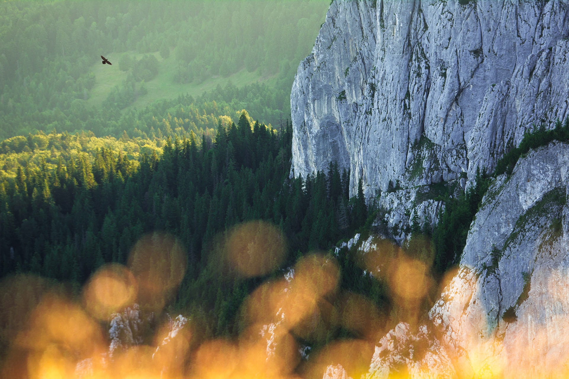 Piatra Craiului © Daniel Ștefan