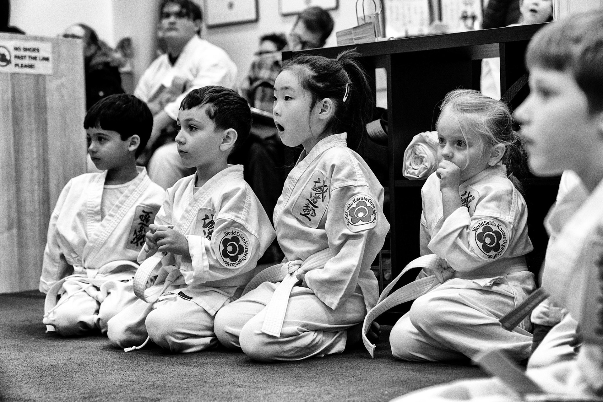 Kells Seido Karate Junior and Adult classes