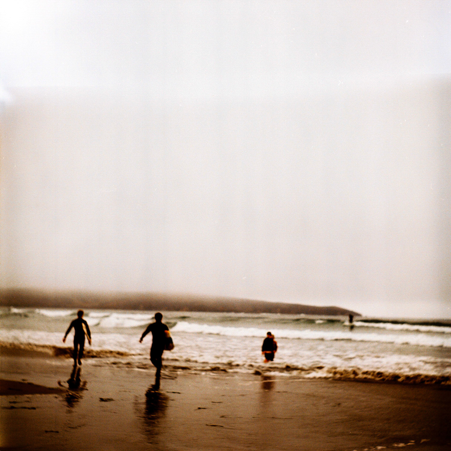 The Bay area from San Francisco to Muir Woods.