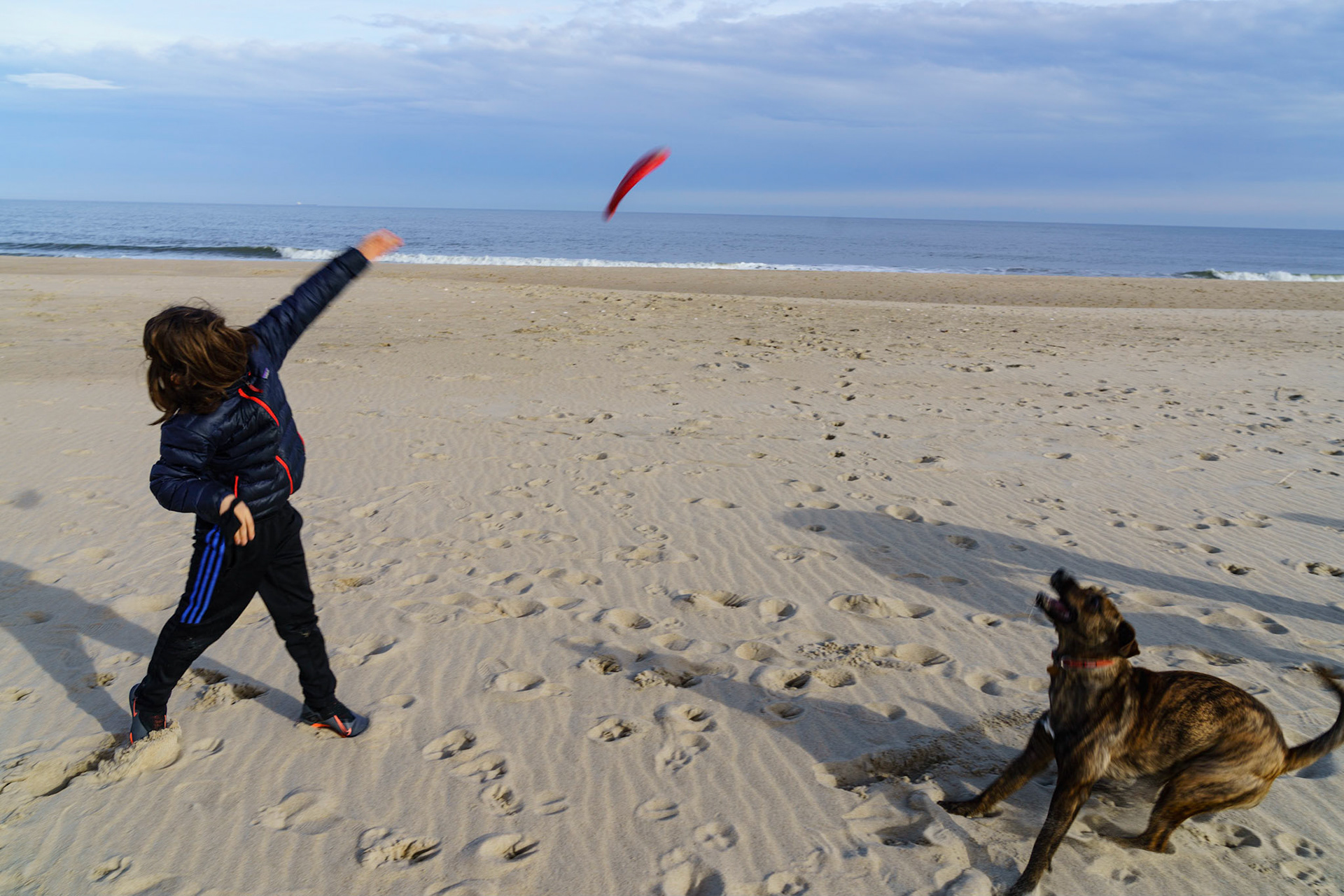 New Year’s trip to the beach. Hike at Gordon Pond in Cape Henlopen. Playing at the beach. Buried little ones.