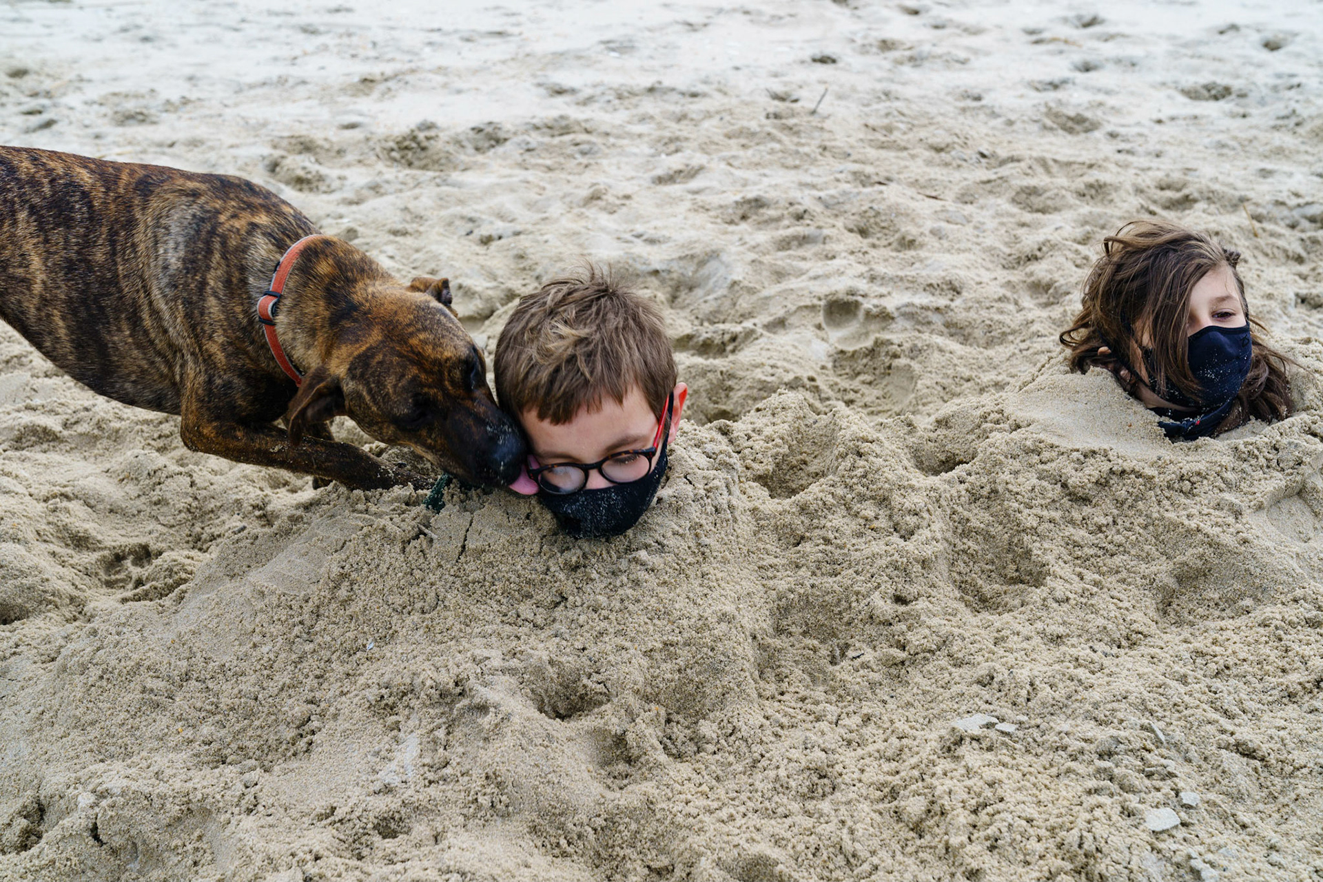 New Year’s trip to the beach. Hike at Gordon Pond in Cape Henlopen. Playing at the beach. Buried little ones.