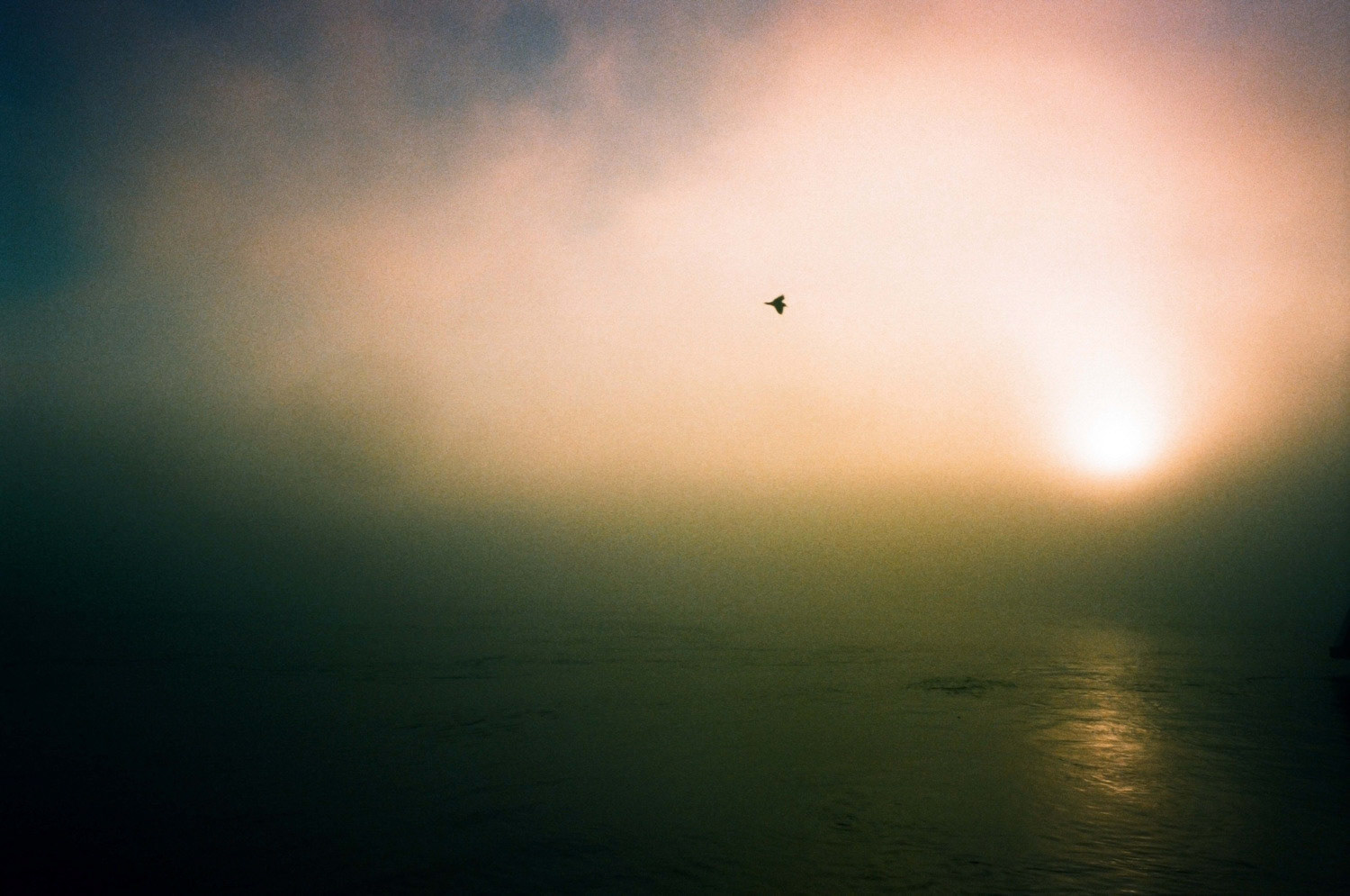 Copyright Michael Temchine 2015 No Use Permitted without express written permission by Michael Temchine