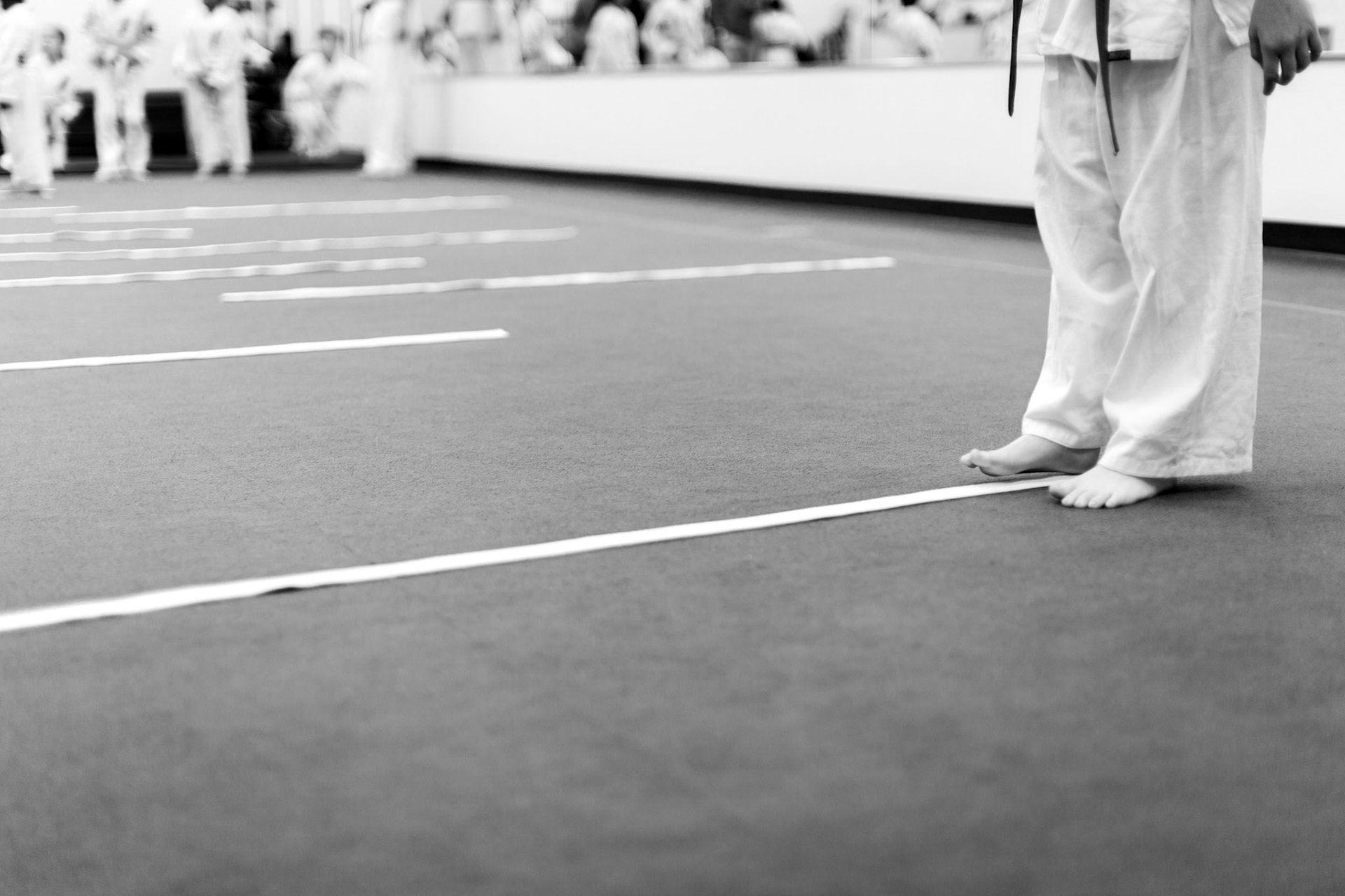 Pamfilis Seido Karate Dojo