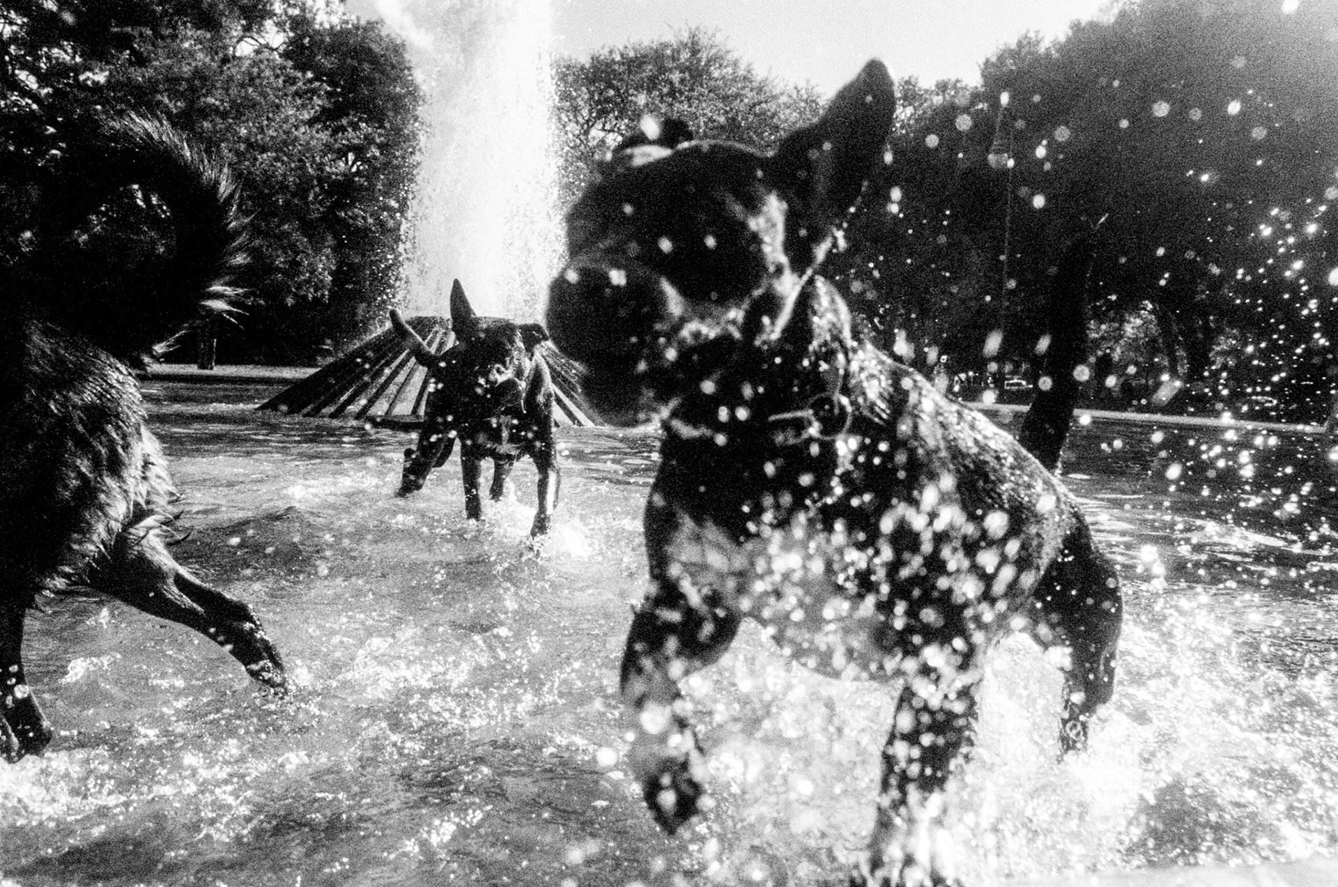 Copyright Michael Temchine 2015 No Use Permitted without express written permission by Michael Temchine