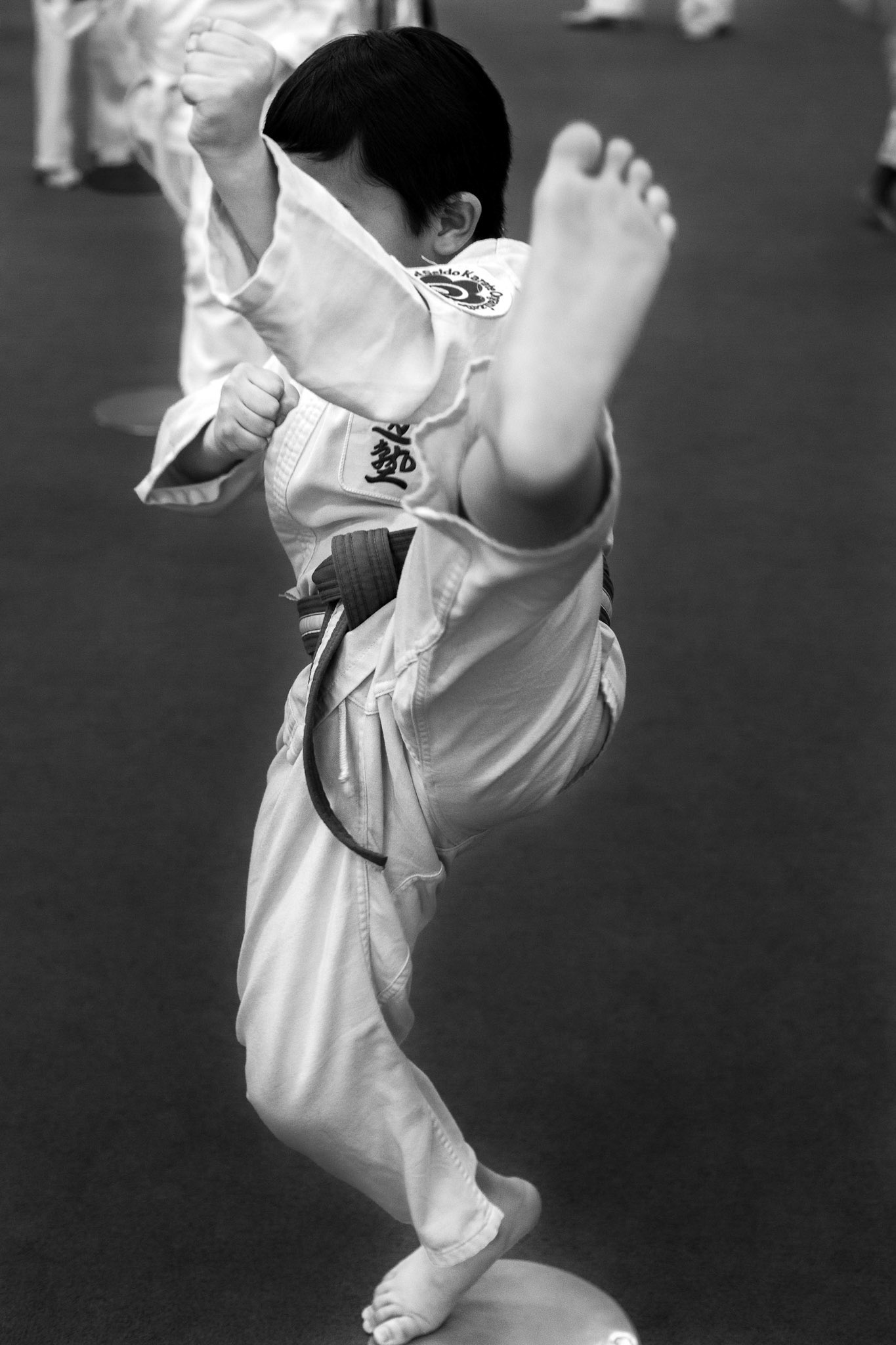Pamfilis Seido Karate