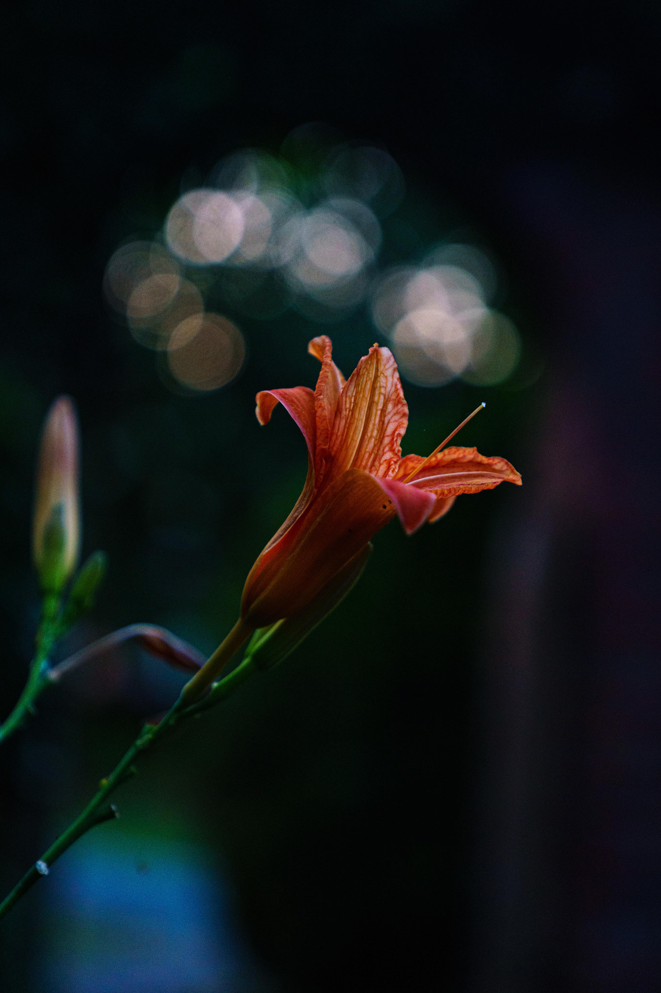 The Inn at Longacre in Appomattox, VA.