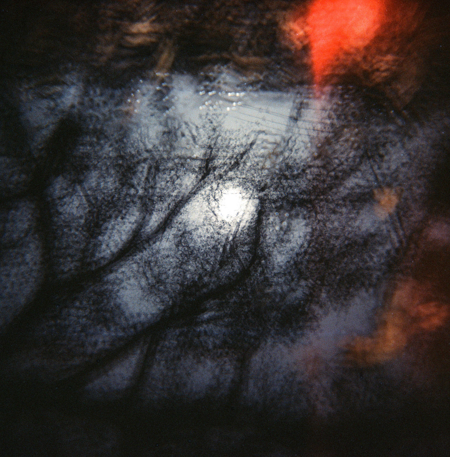 Copyright Michael Temchine 2015 No Use Permitted without express written permission by Michael Temchine