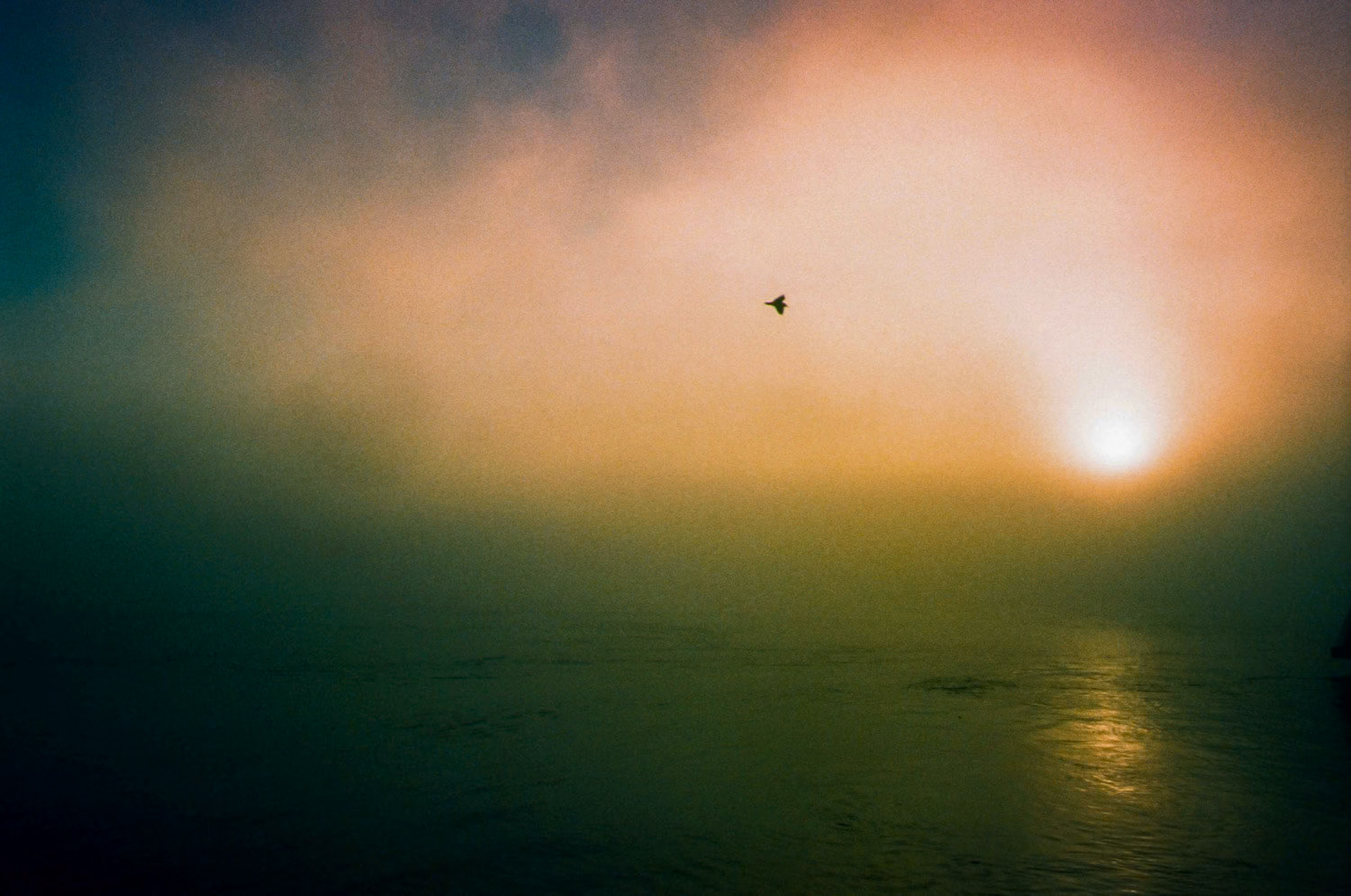 Copyright Michael Temchine 2015 No Use Permitted without express written permission by Michael Temchine