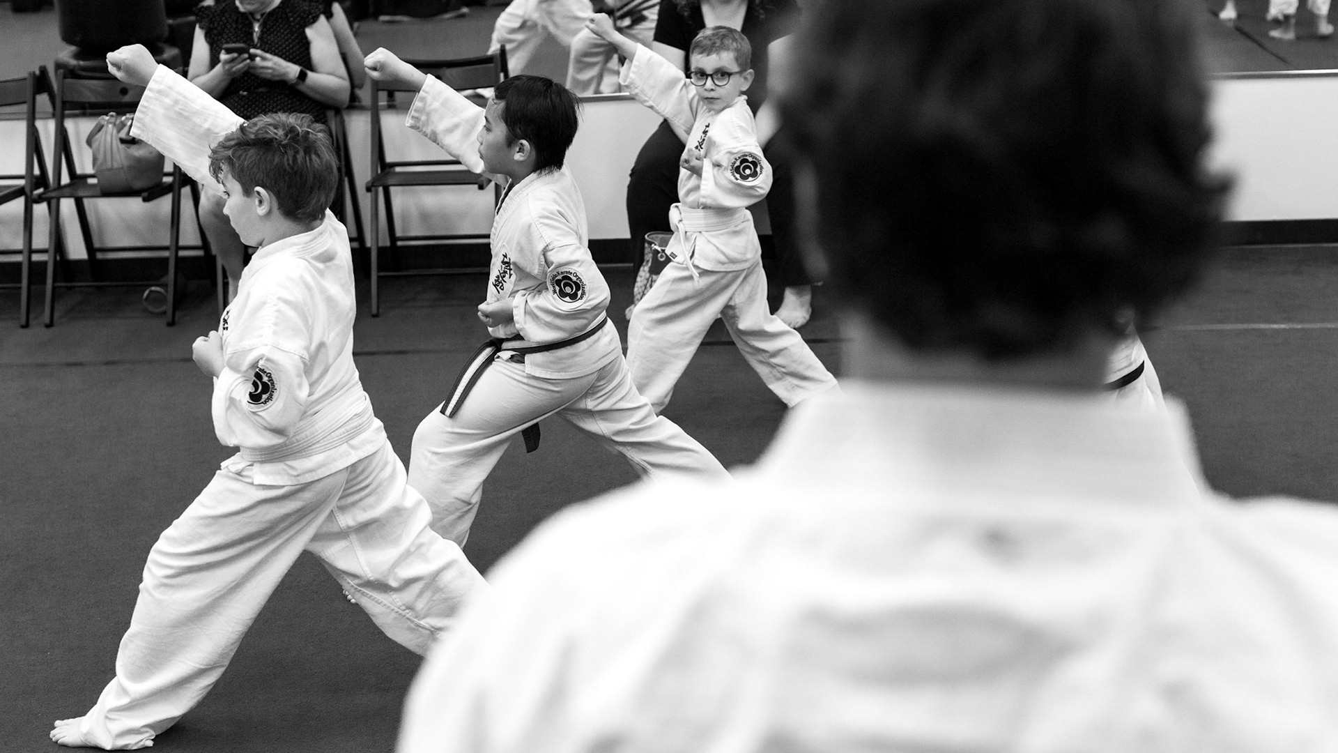 Pamfilis Seido Karate