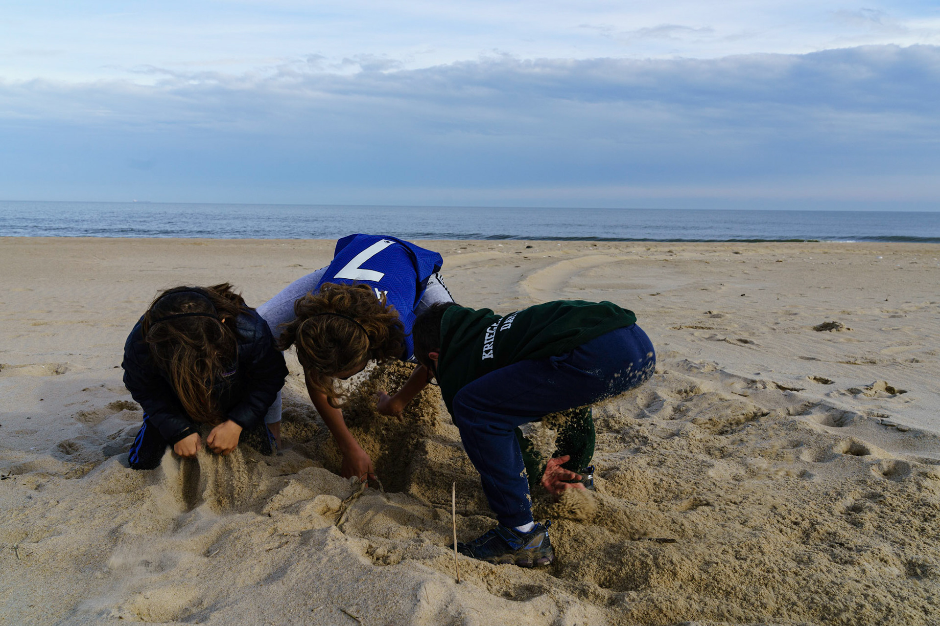 New Year’s trip to the beach. Hike at Gordon Pond in Cape Henlopen. Playing at the beach. Buried little ones.