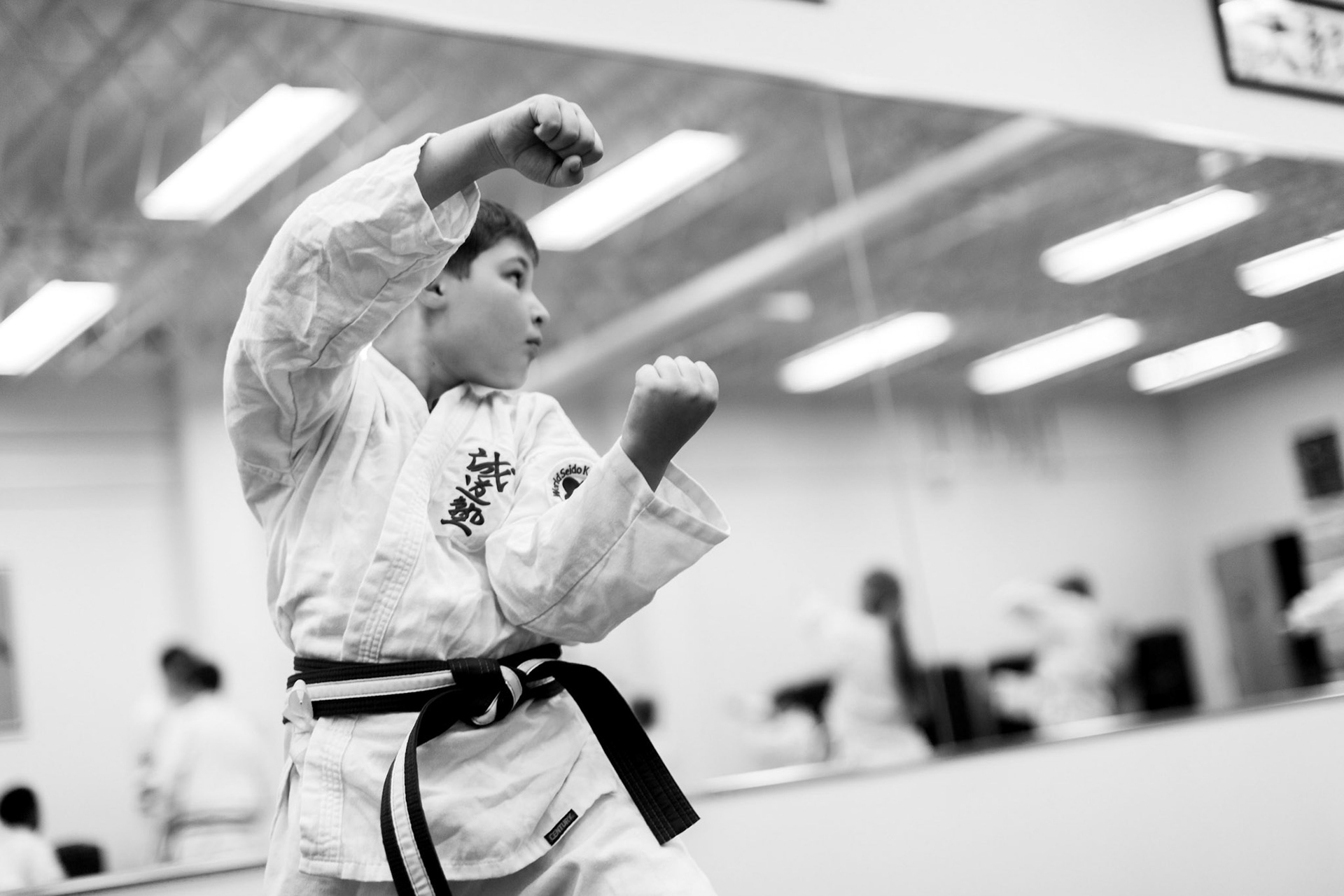 Pamfilis Seido Karate Dojo