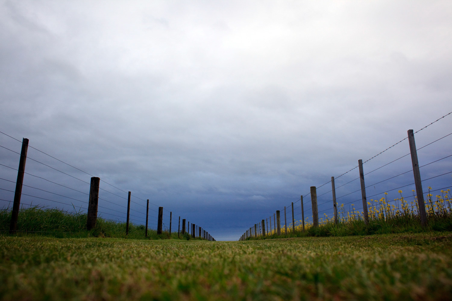 The Kaikoura Peninsula walk in early spring in Kaikoura, New Zealand.