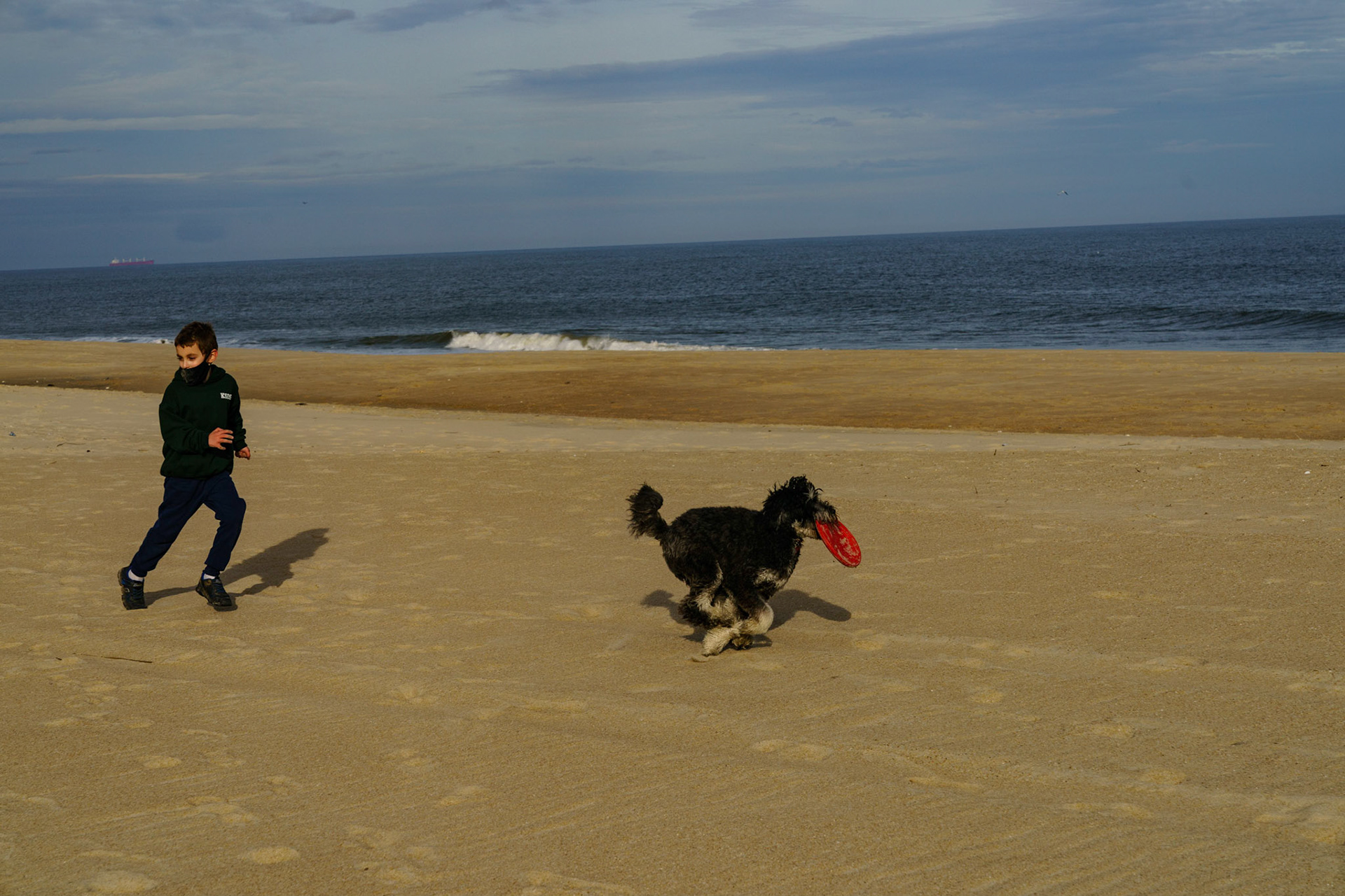 New Year’s trip to the beach. Hike at Gordon Pond in Cape Henlopen. Playing at the beach. Buried little ones.