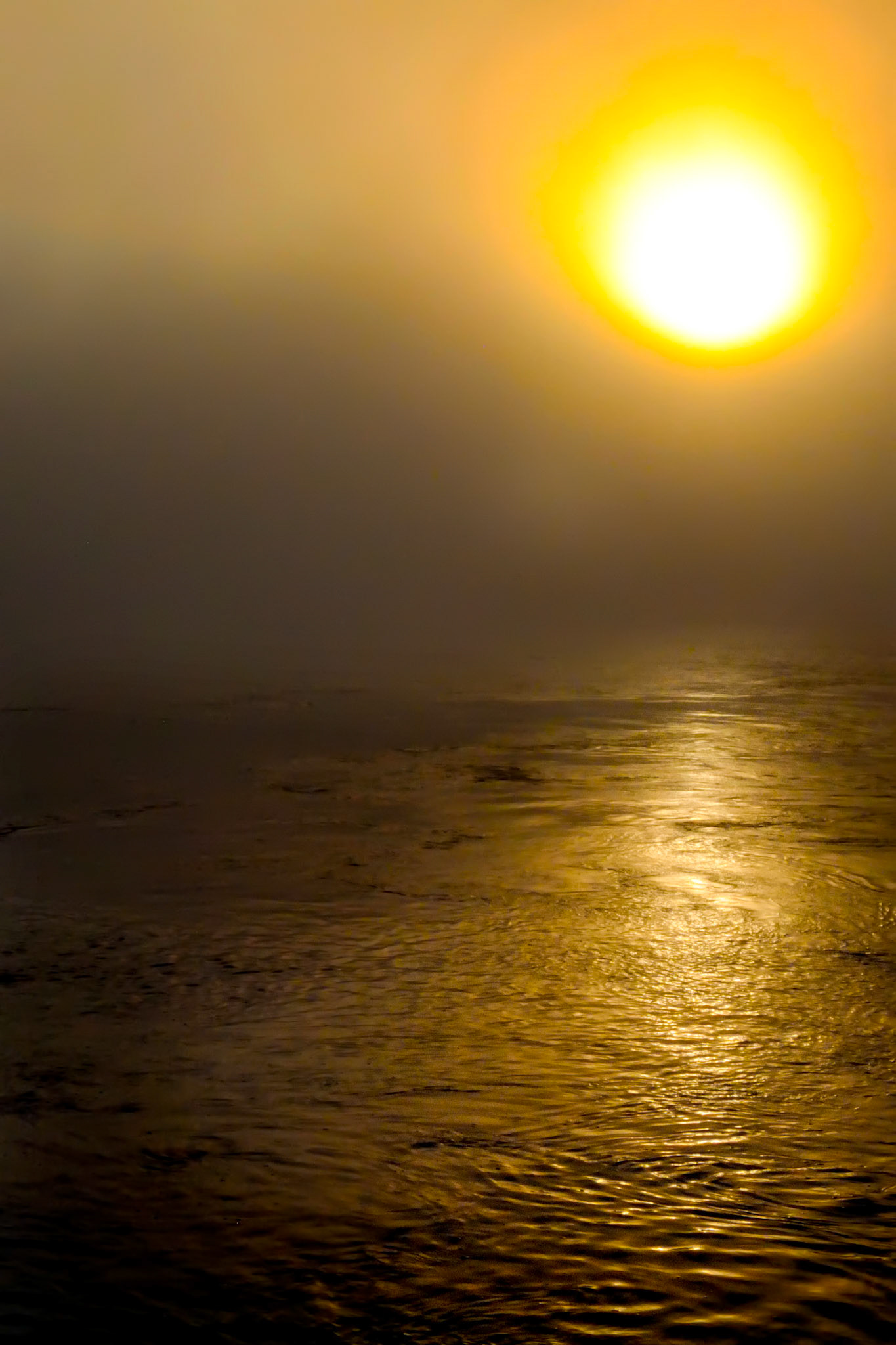 Family vacation to New Orleans, LA April 2015.