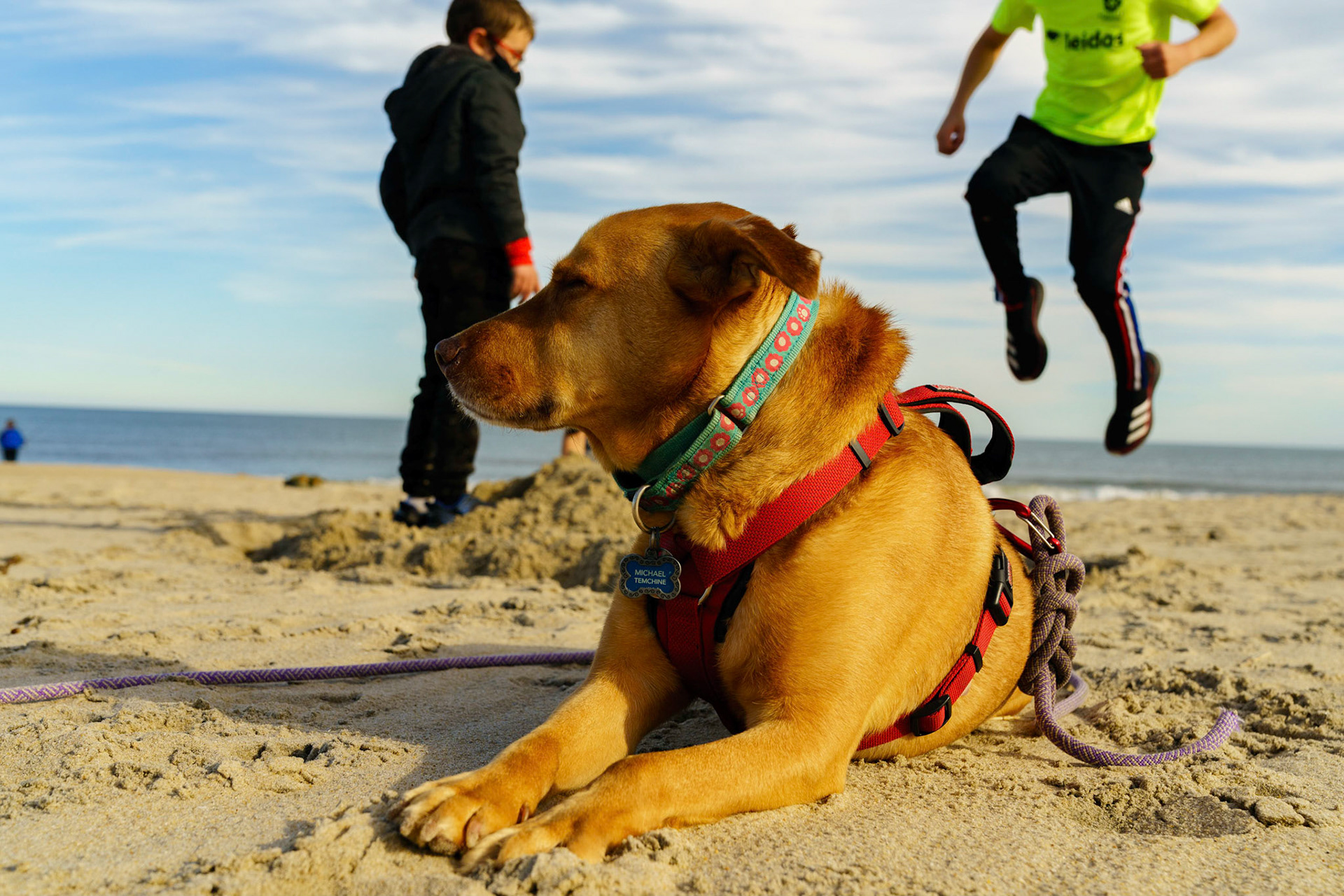 New Year’s trip to the beach. Playing at the beach. Buried little ones.