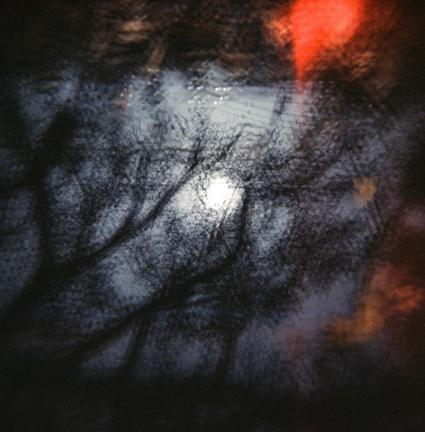 Copyright Michael Temchine 2015 No Use Permitted without express written permission by Michael Temchine