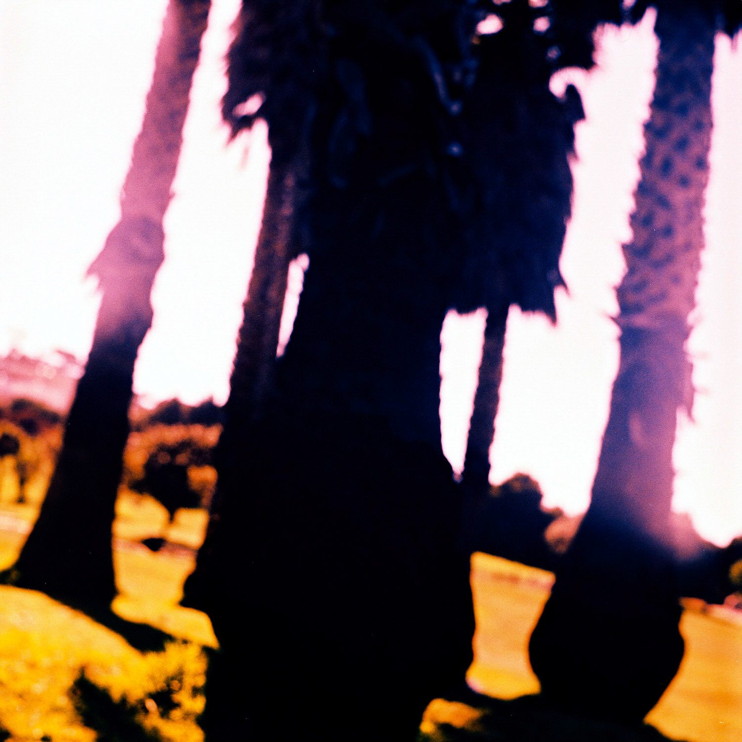 The Bay area from San Francisco to Muir Woods.