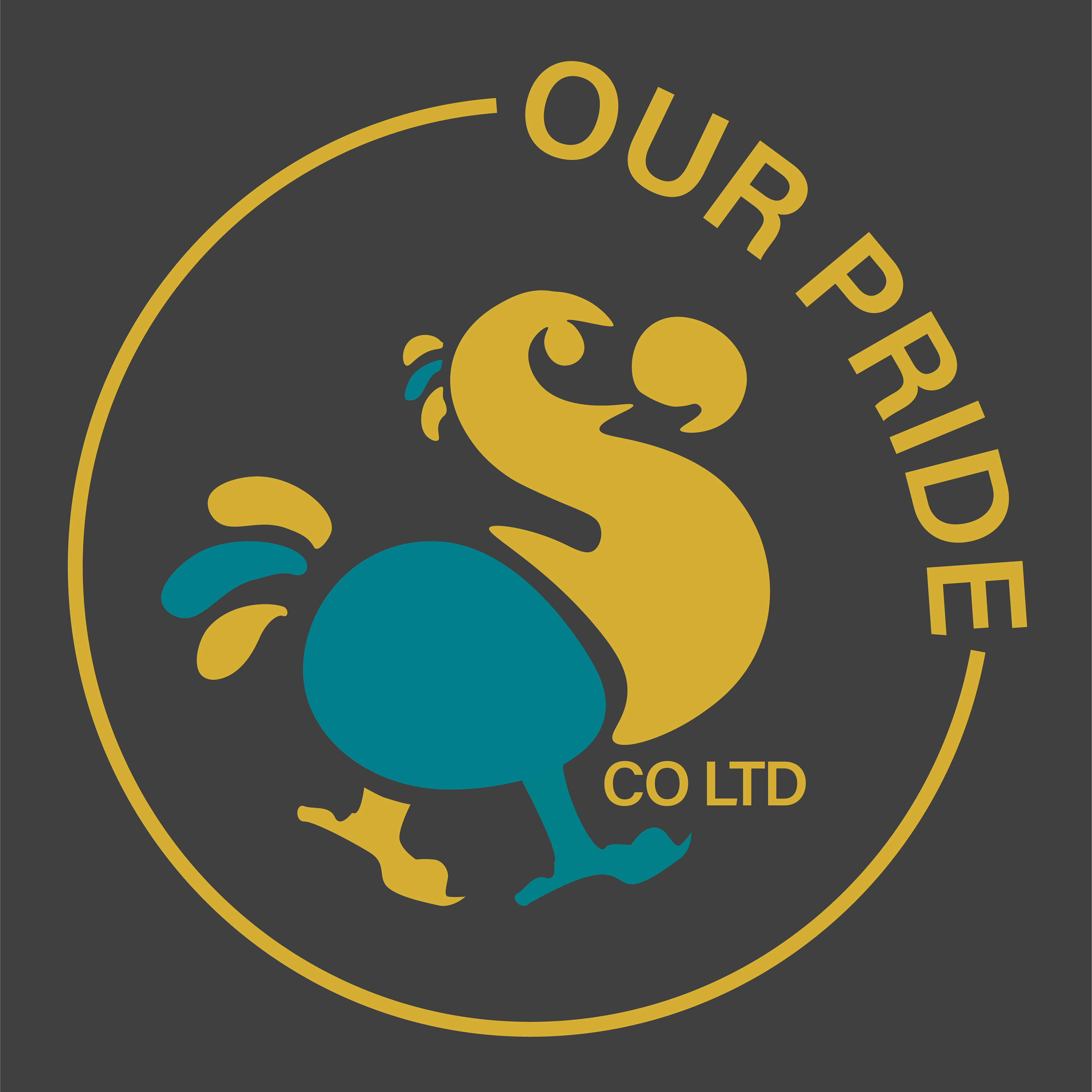Our Pride & Co Ltd | 2022