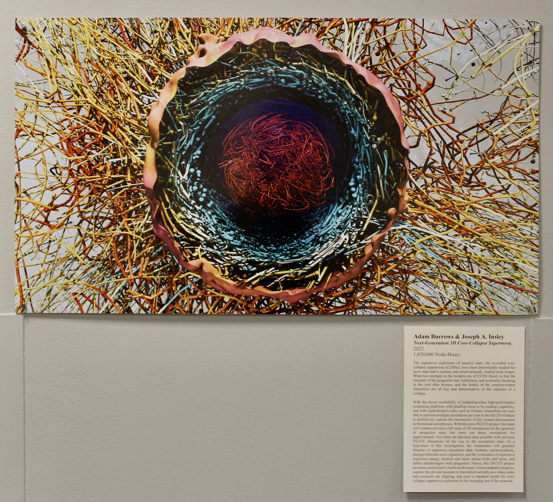 Data visualization of a 3D Core Collapse Supernova. Rainbow ringed circle made from stringy forms with red and yellow strings exploding outwards, over a grey background.