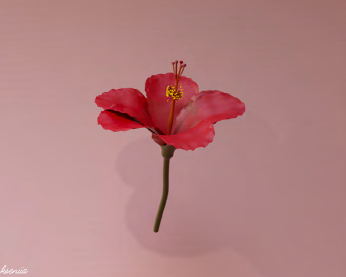Red hibiscus flower floating above a light-pink background.