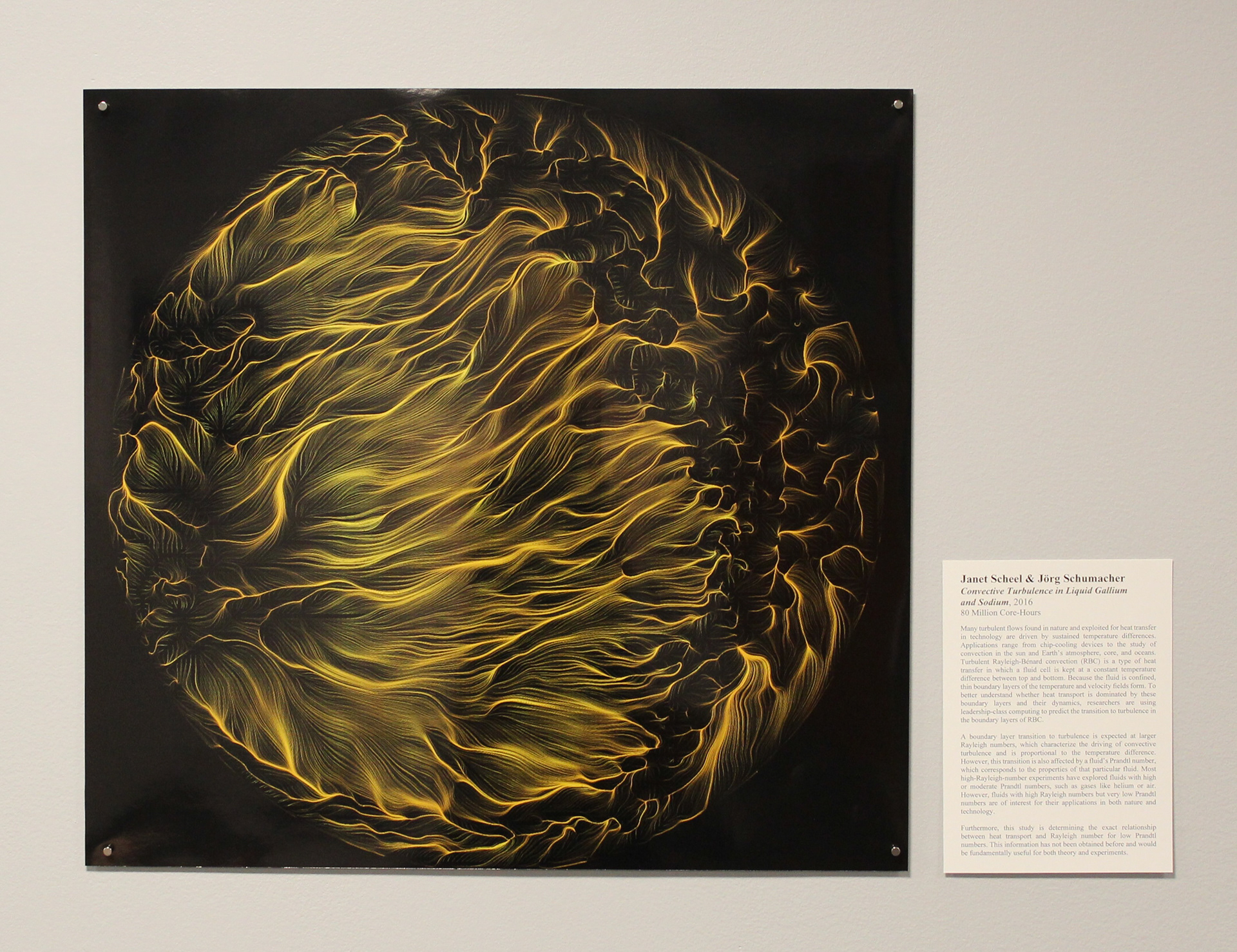 Data visualization of turbulence through liquid. Golden flowing organic lines of varying thickness, contained within a circle, centrally located on a black background.