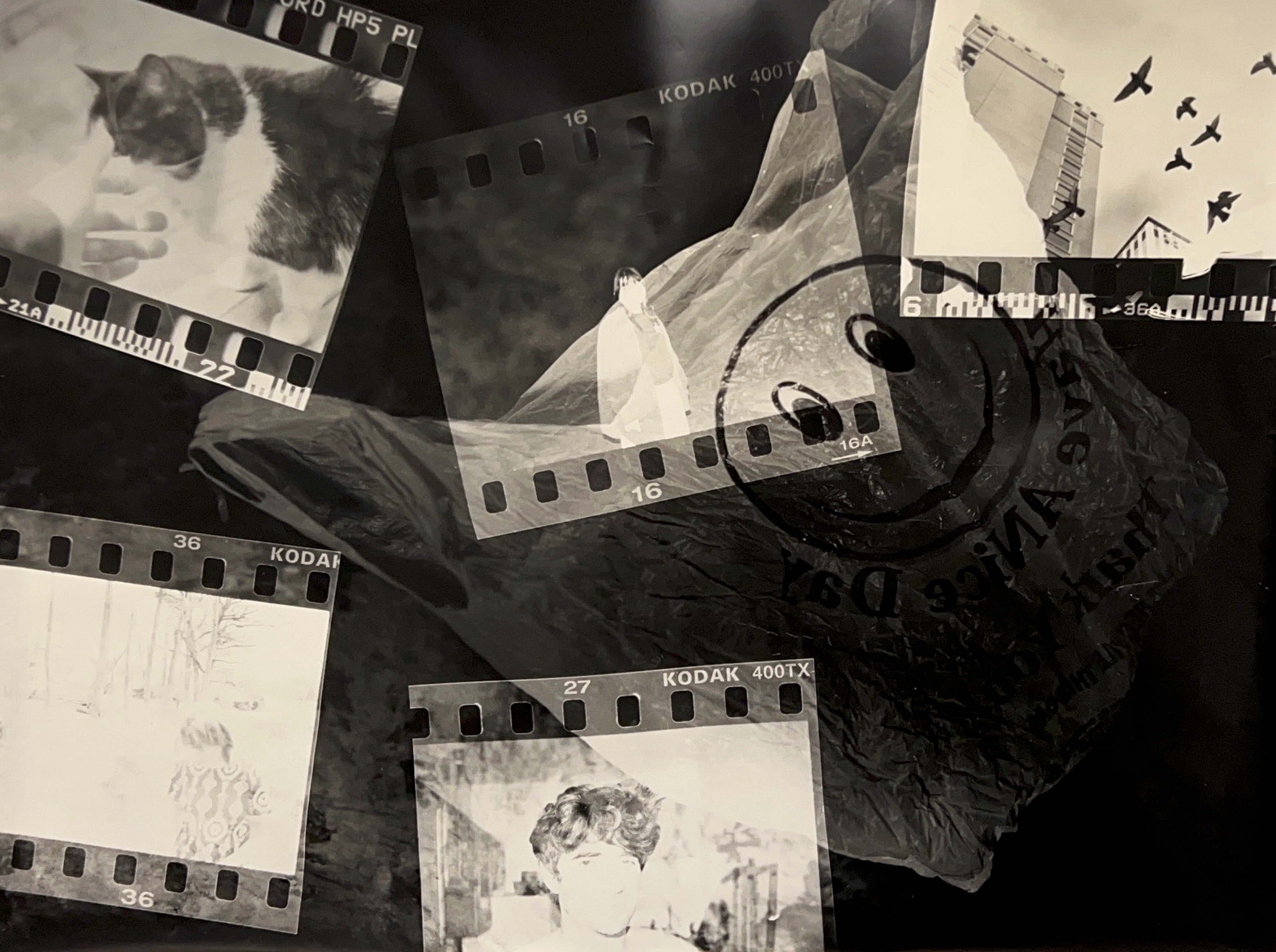 Black and white photograph of a takeout plastic bag with a smiley face, overlaid with five film slides showing a cat, figures, and a building with birds flying by.