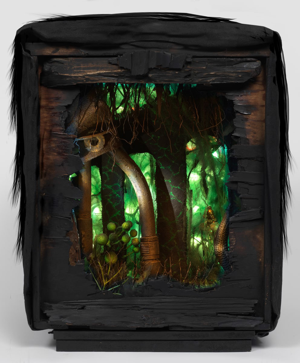 Dark wooden box crowned with black hair with an illuminated swamp scene inside made with various objects in brown and green colors.