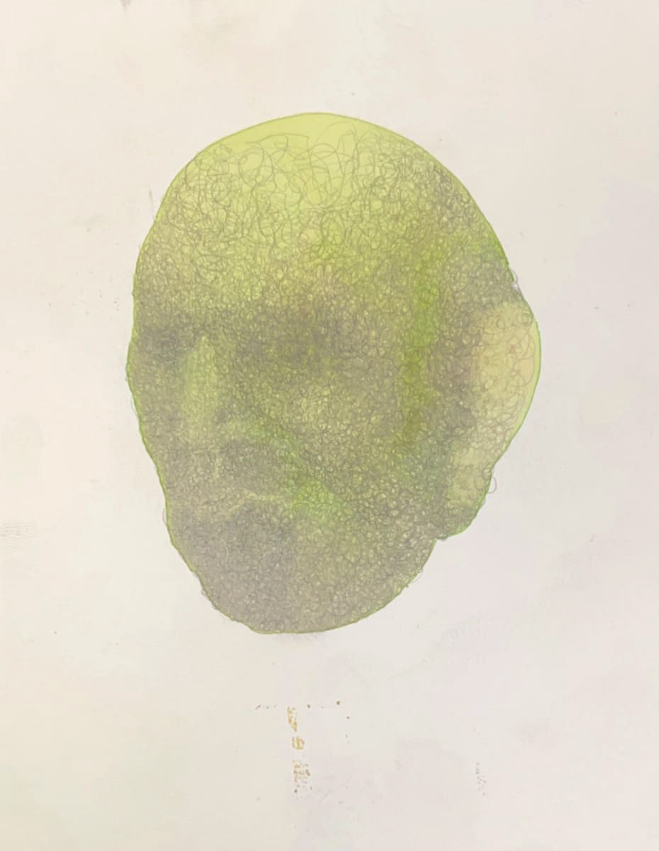 Bodiless head colored with green and gray colors, centered on a white background.