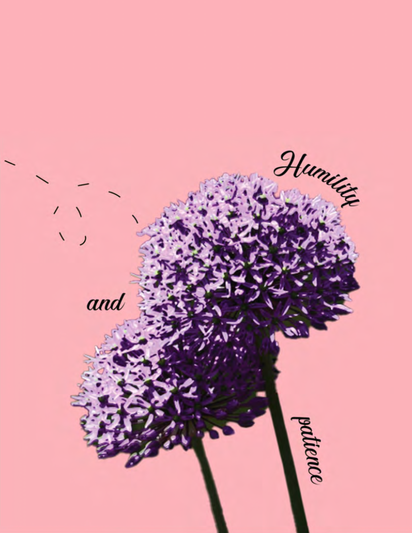 Purple dandelions over pink background with the words "Humility and patience"