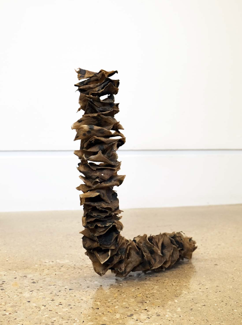 organically-shaped, brown pieces of paper pulp strung together and partially suspended to form a worm-like figure. The sculpture is standing on the floor and being held up by a piece of fishing line.