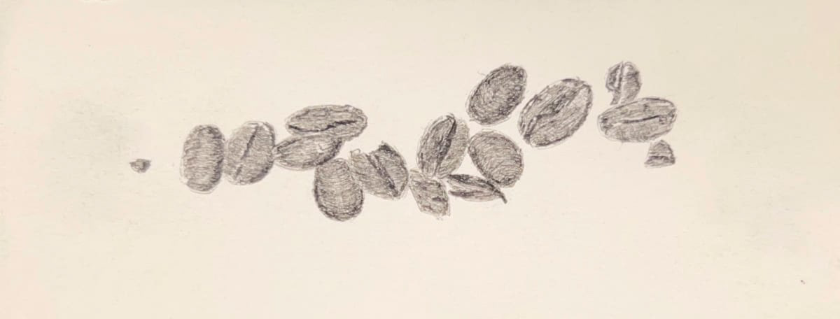 A spattering of coffee beans drawn with black ink on a cream background.