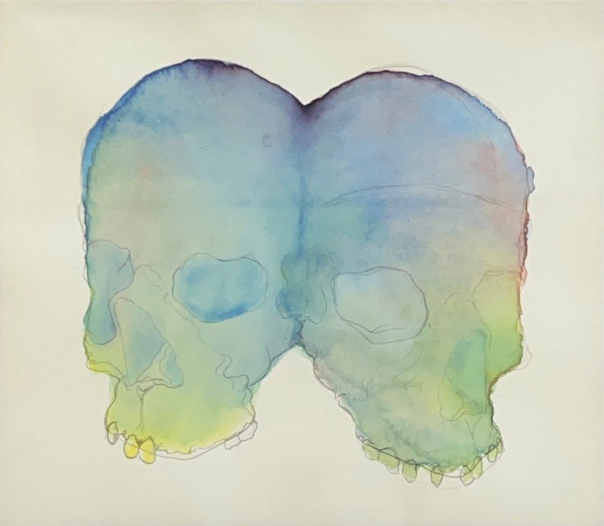 two colorful skulls merged together
