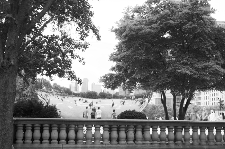 Black and white photograph showing the side view of the Chicago Bean shrouded by leafy trees and a stone railing along the bottom.