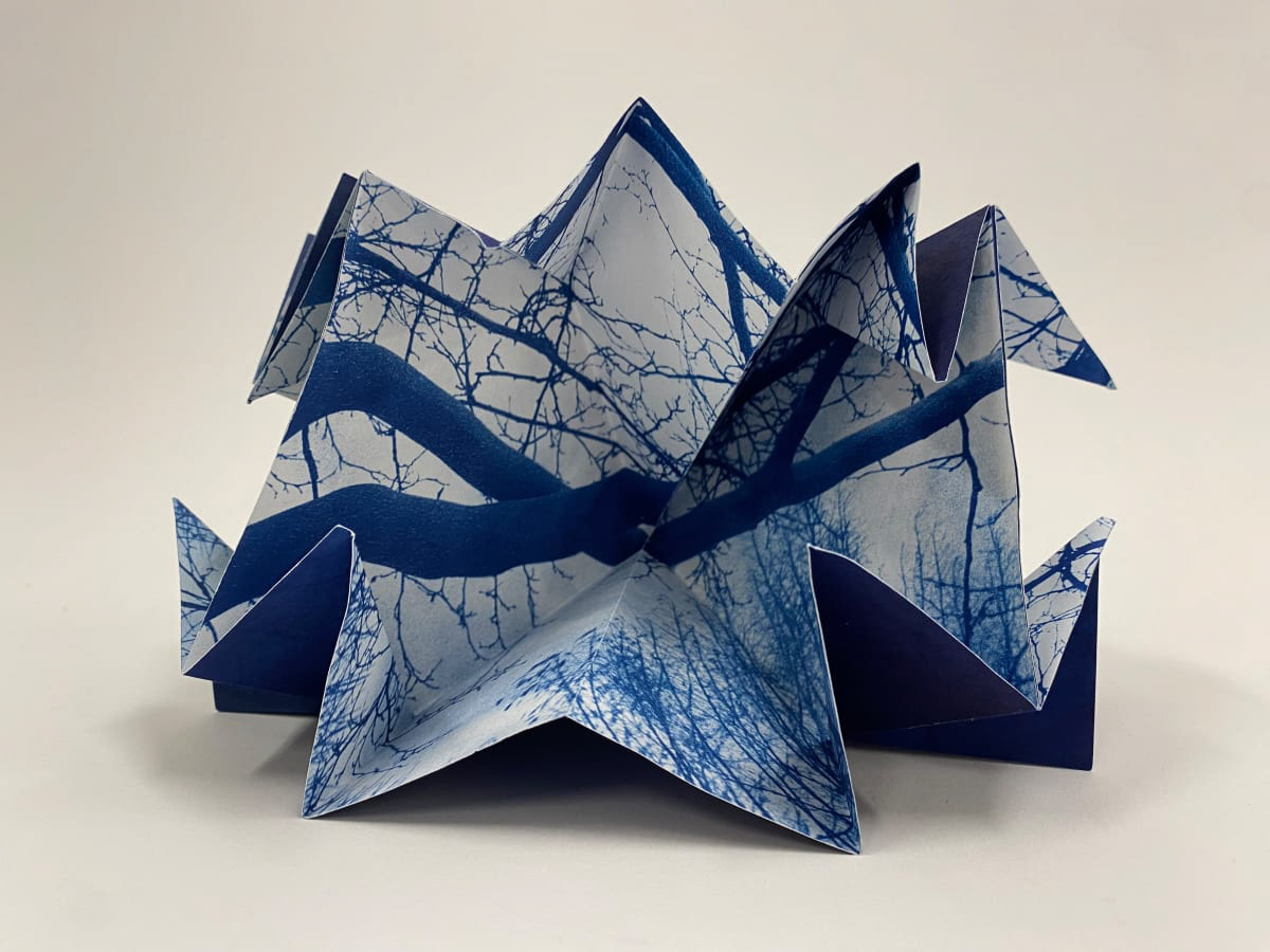 A cyanotype of a tree folded into a geometric shape.