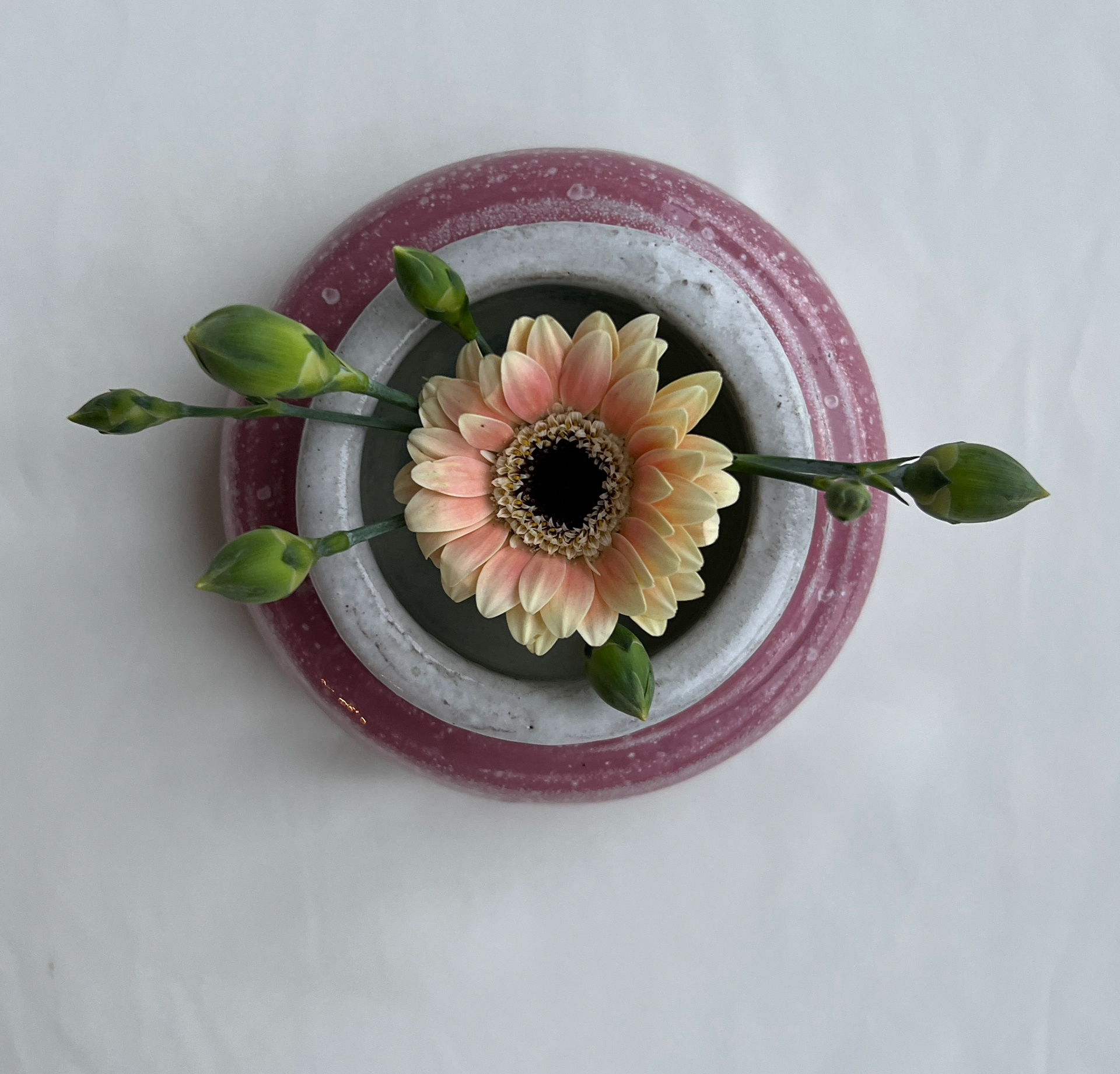An overhead view of a pink and white ceramic vase holding a yellow and pink daisy with green sprouts.