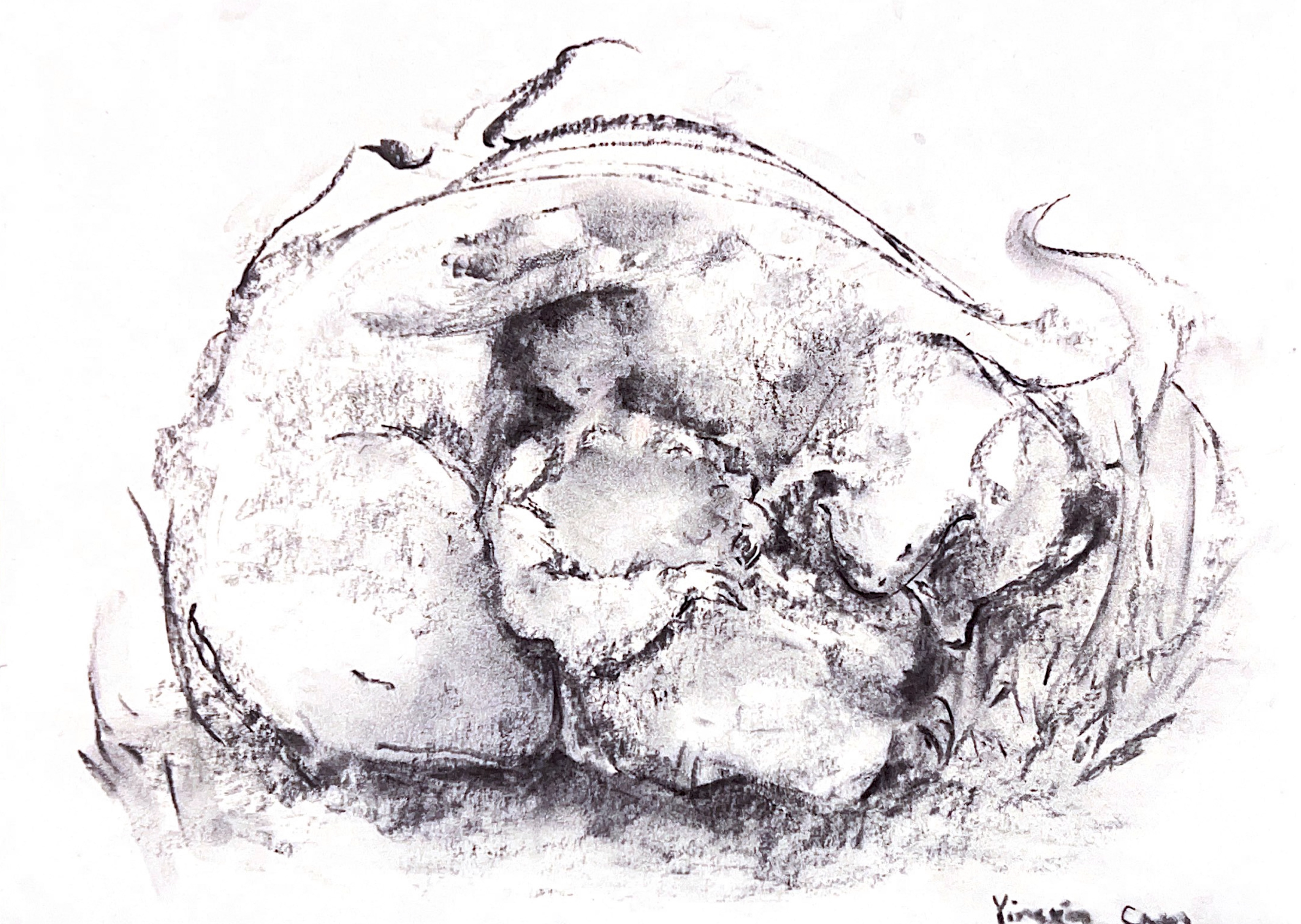 Black and white image of a figure tucked into a cave