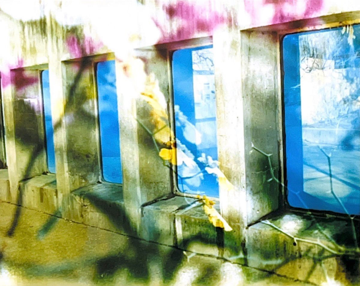 Manipulated photograph of a stone wall with four recessed windows, overlaid with an image of blooming tree branches in yellow, green, and pink colors.