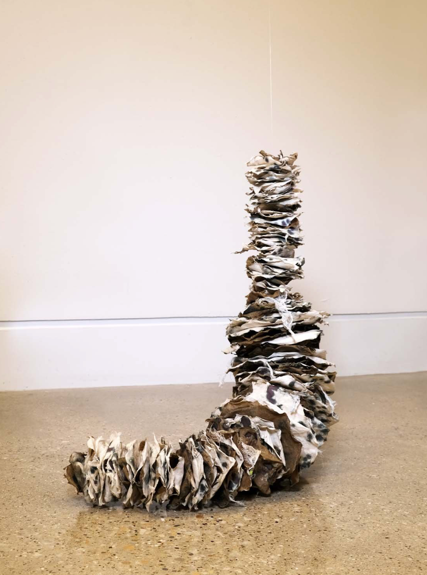 organically-shaped, white and brown pieces of paper pulp strung together and partially suspended to form a worm-like figure. The sculpture is standing on the floor and being held up by a piece of fishing line.