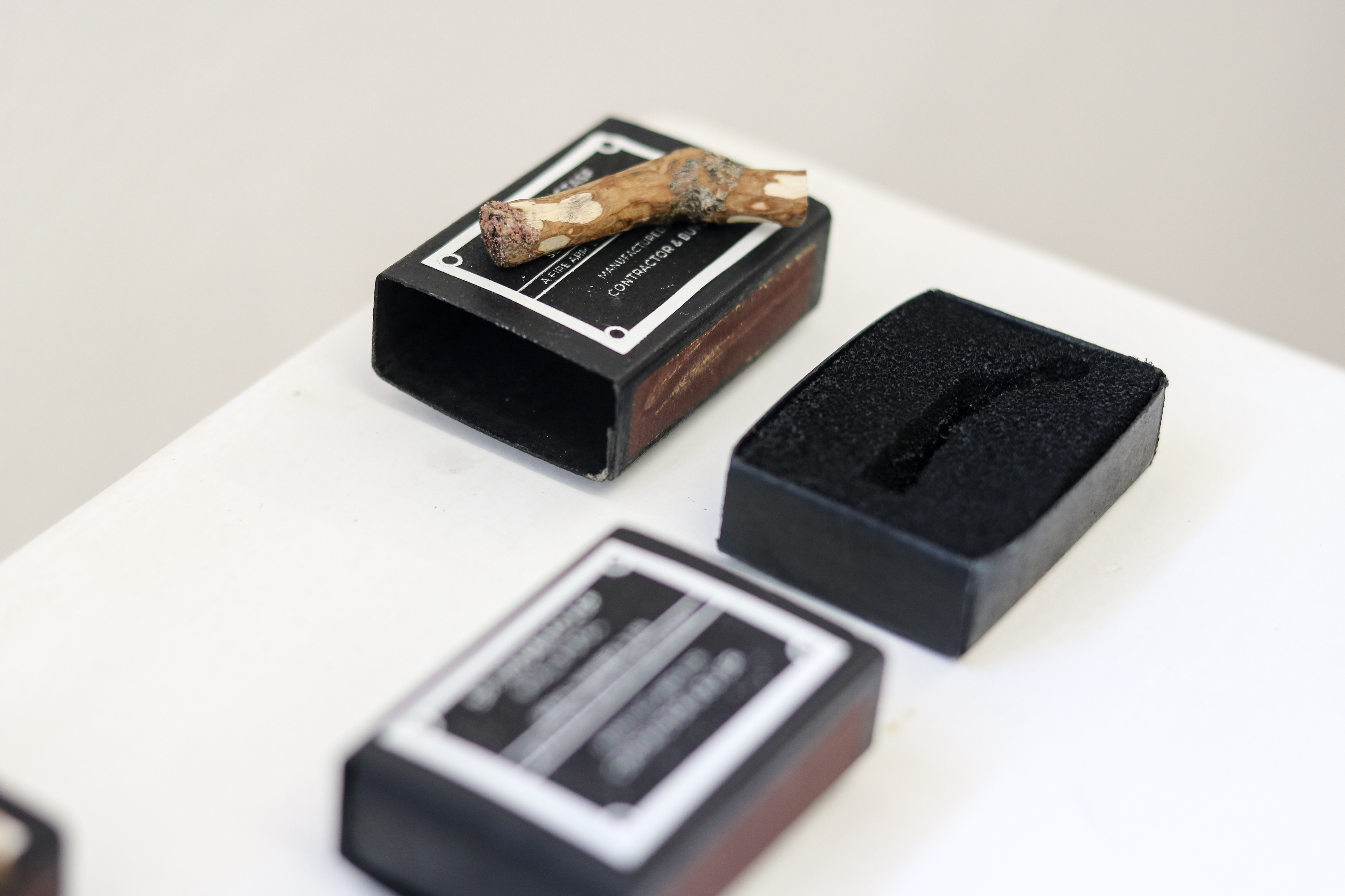 detail, 'Field notes for a stick fight'