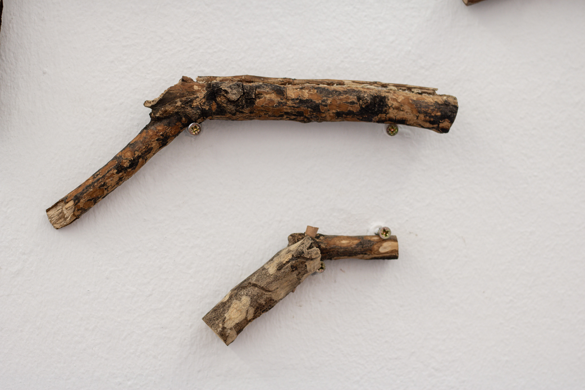 detail, 'Don't bring a gun to a stick fight