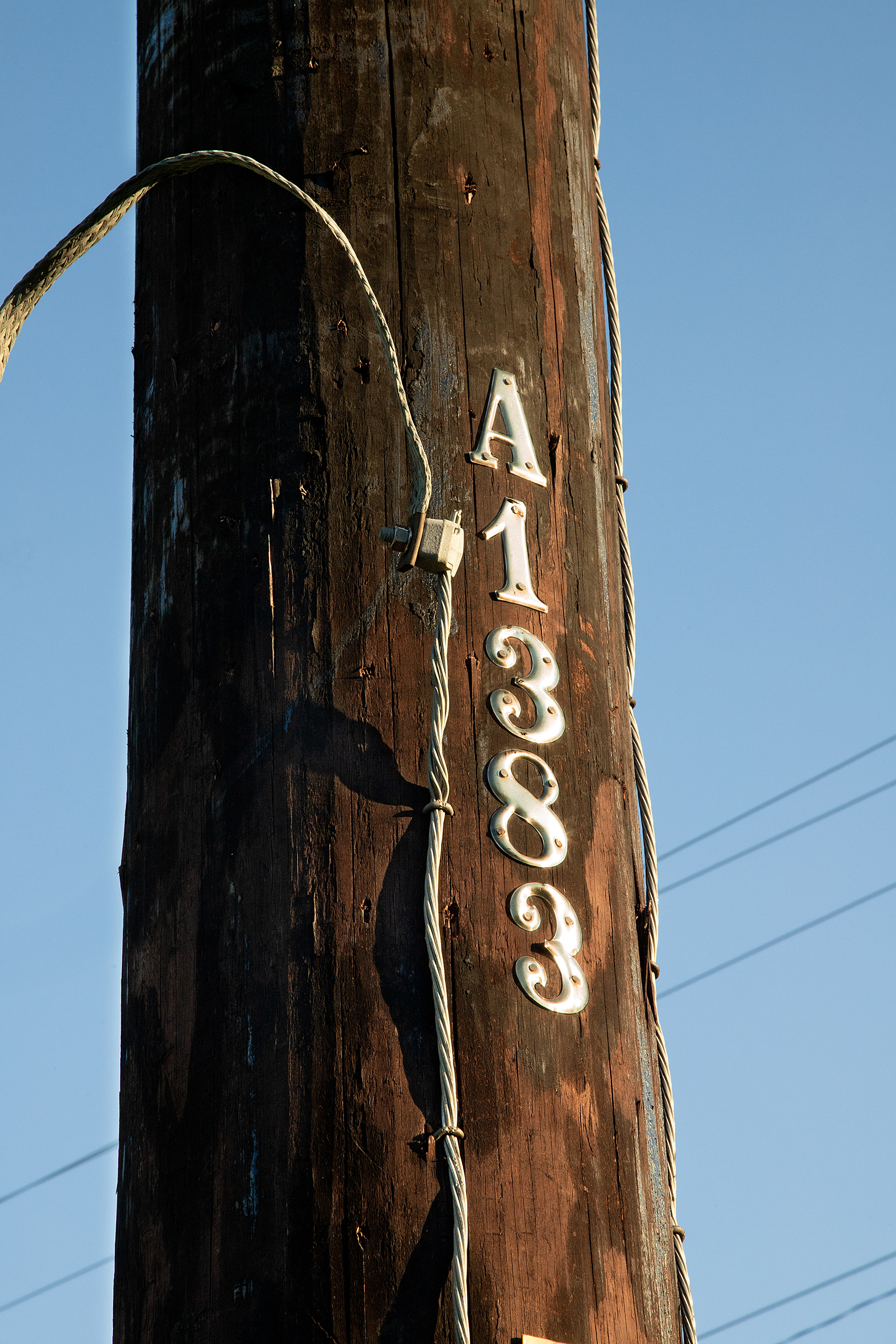 A1383, 2024.
