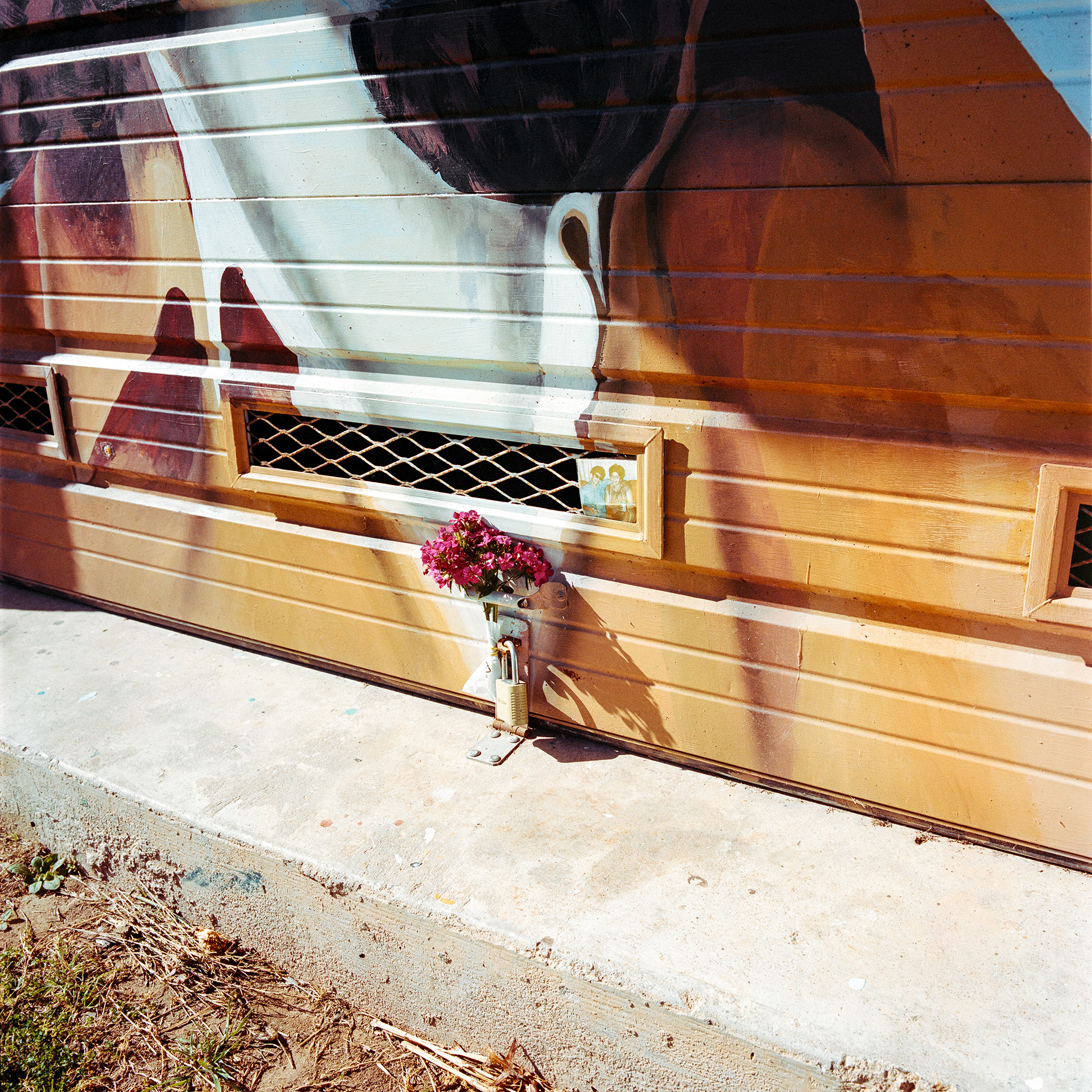 Raíz del Sur, 2025. 6x6.