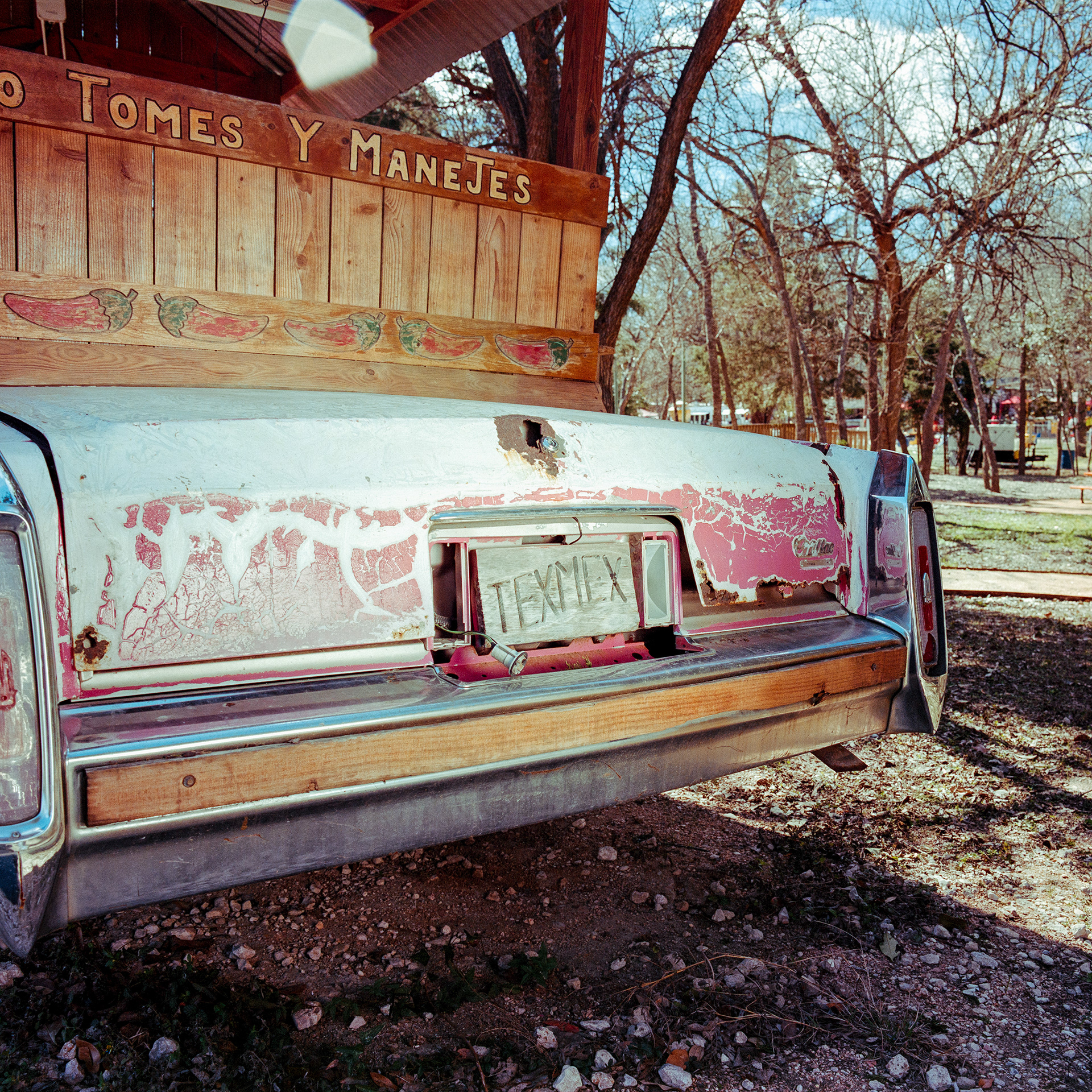 Raíz del Sur, 2025. 6x6.