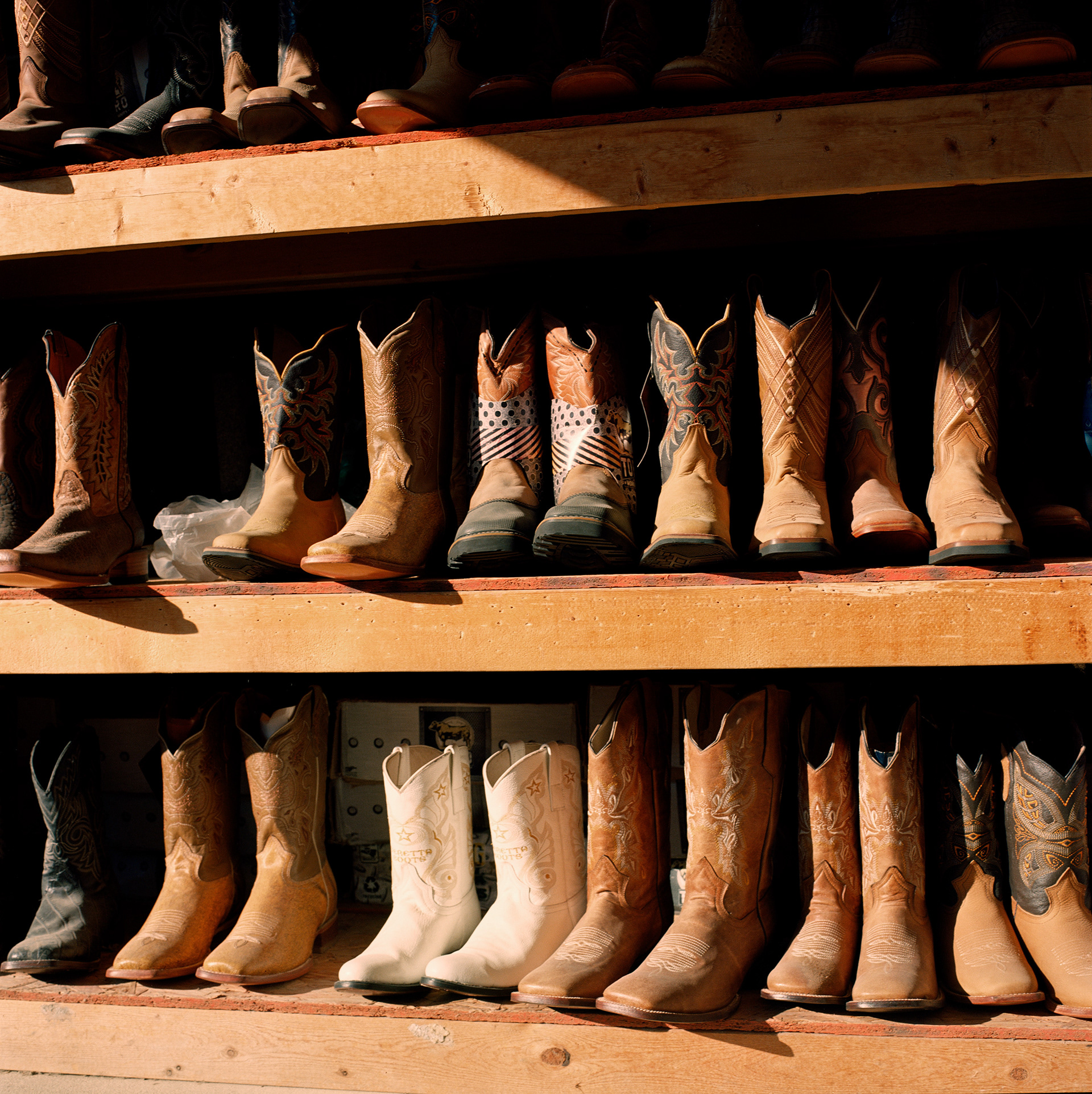 Raíz del Sur, 2025. 6x6.