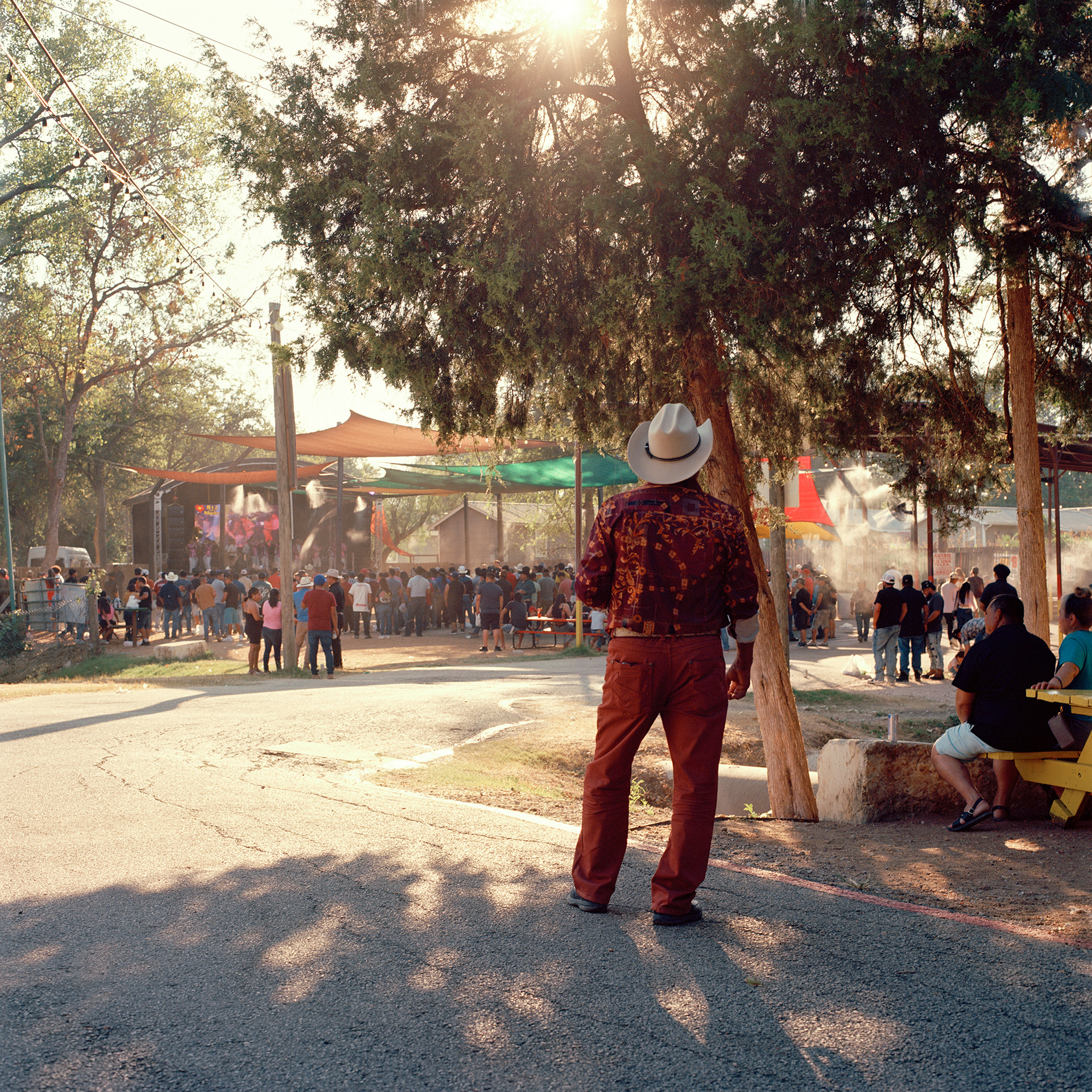 Raíz del Sur, 2025. 6x6.